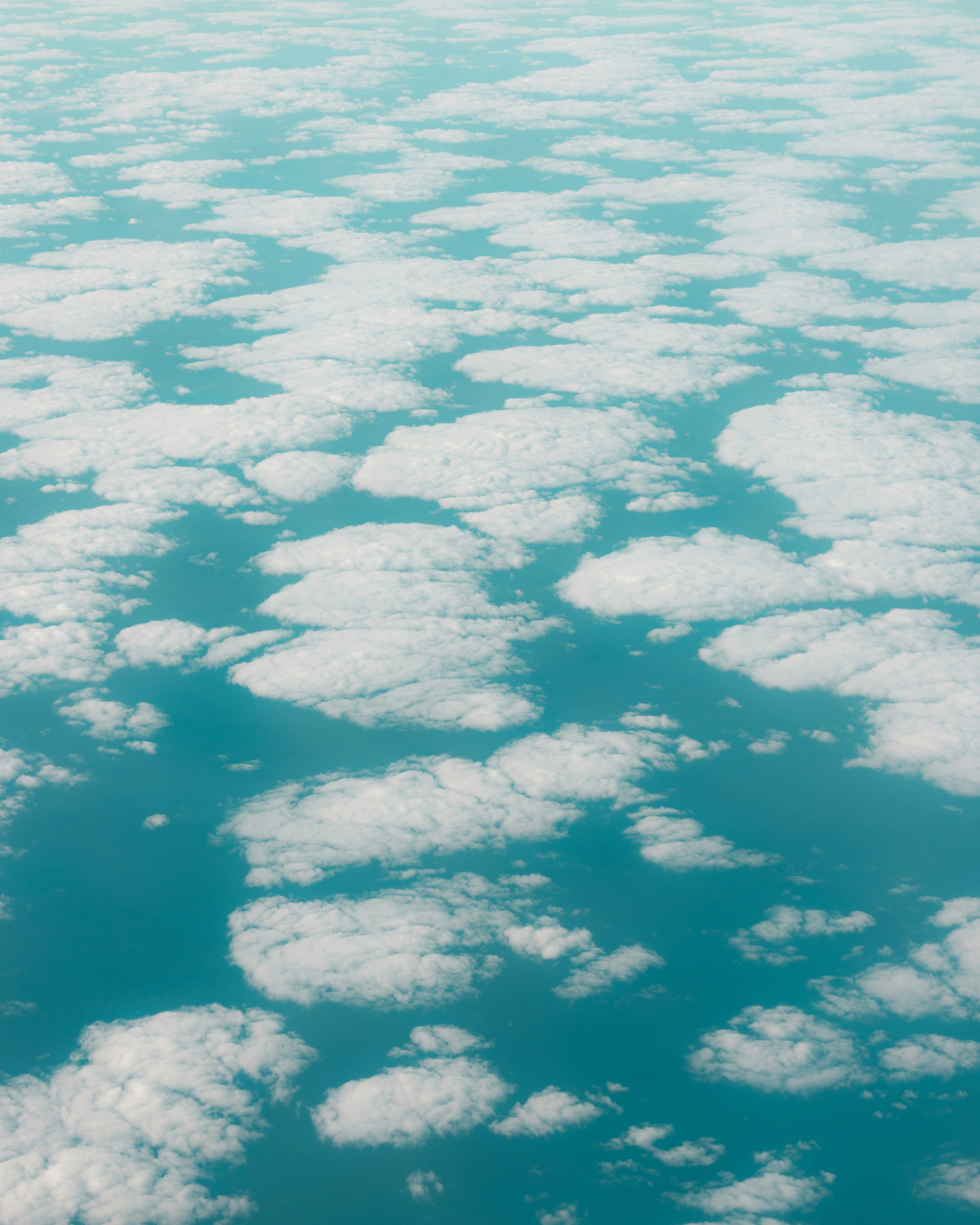 Photo by trail_mix_mike