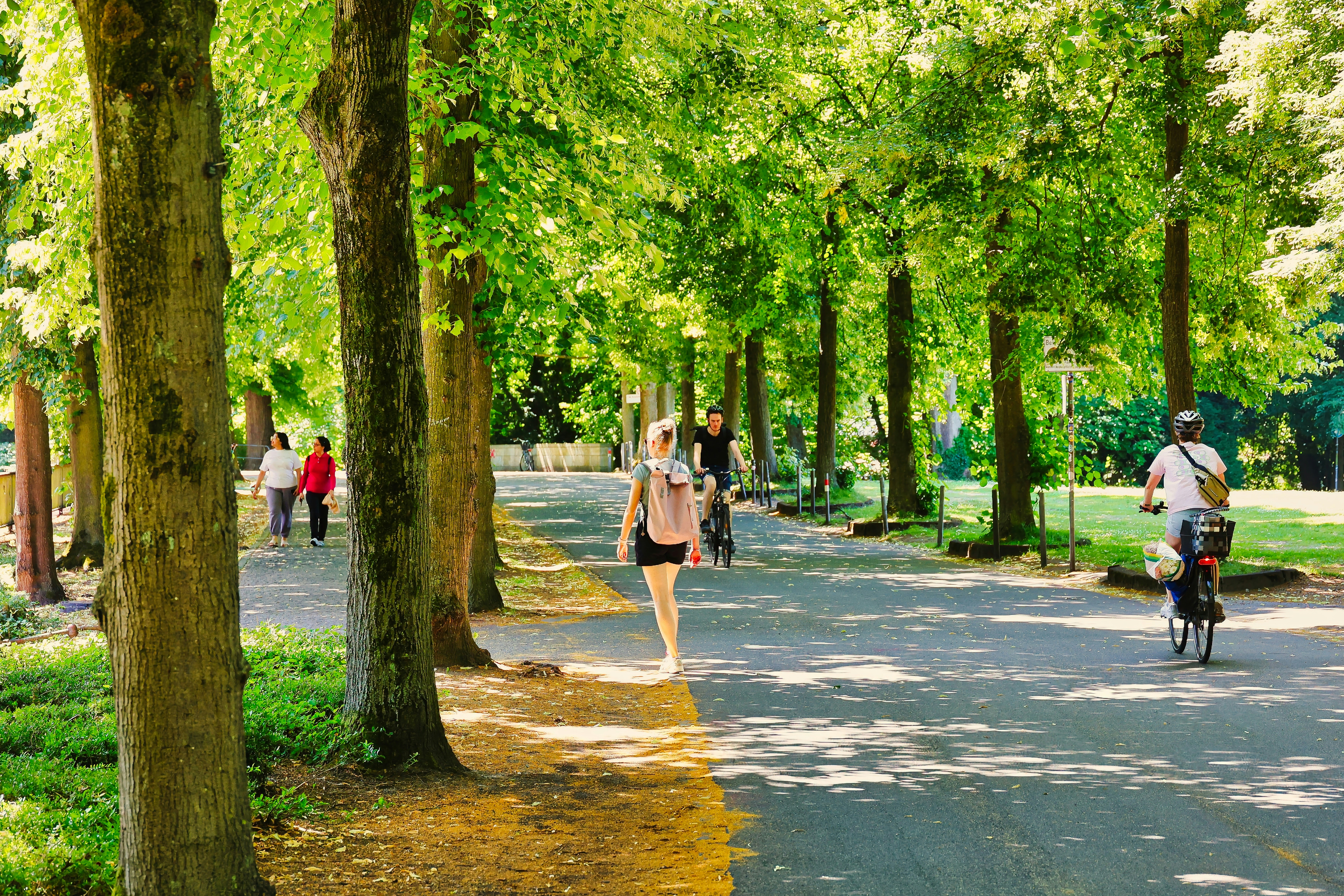 La Promenade de Münster est une rocade mobilité douce de 4,5 km ceinturant le centre historique sur le tracé des anciennes fortifications moyenâgeuses. La Promenade accueille en moyenne 12 000 cyclistes par jour avec des pointes à 20 000.