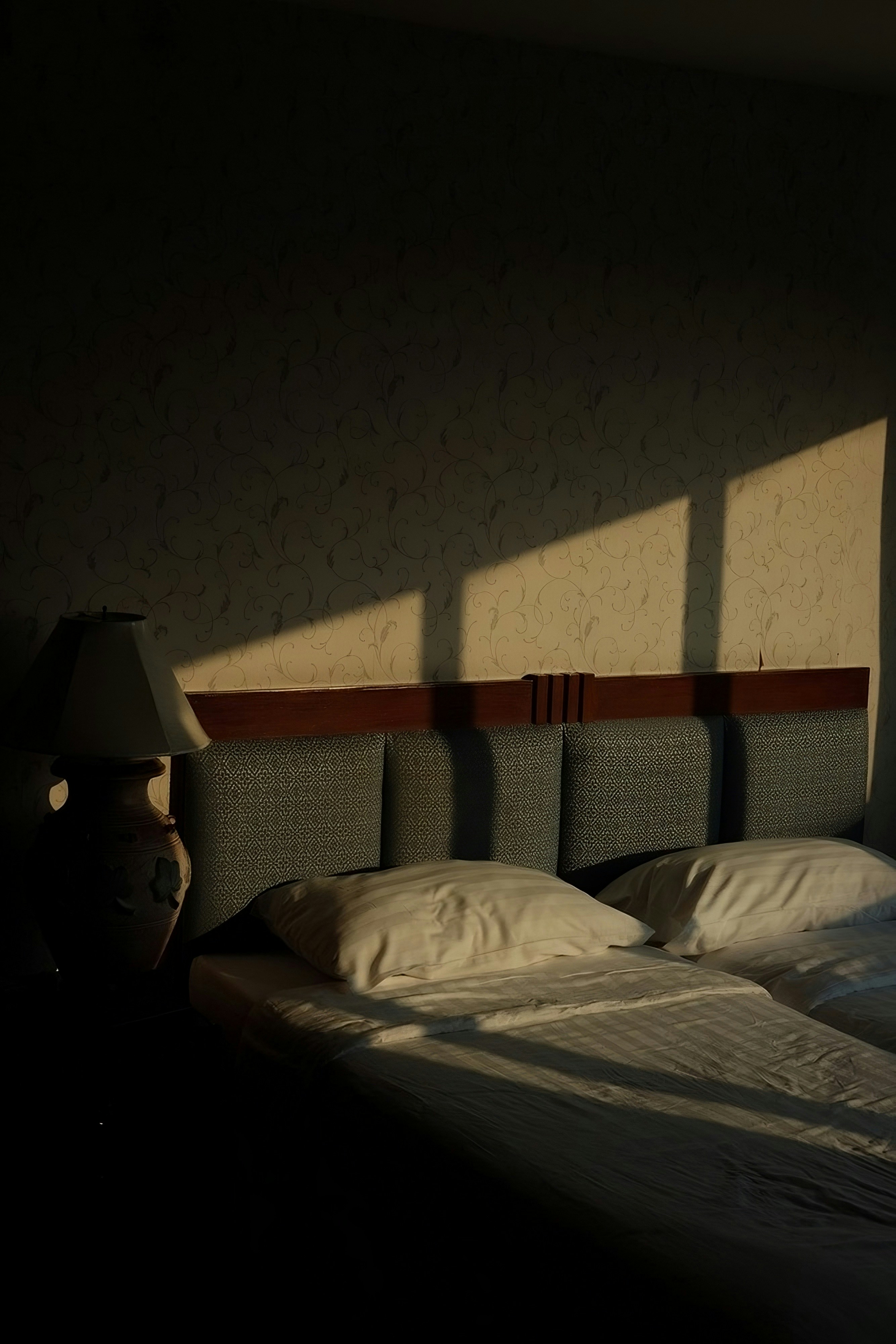 Photo by tausendbuehler100