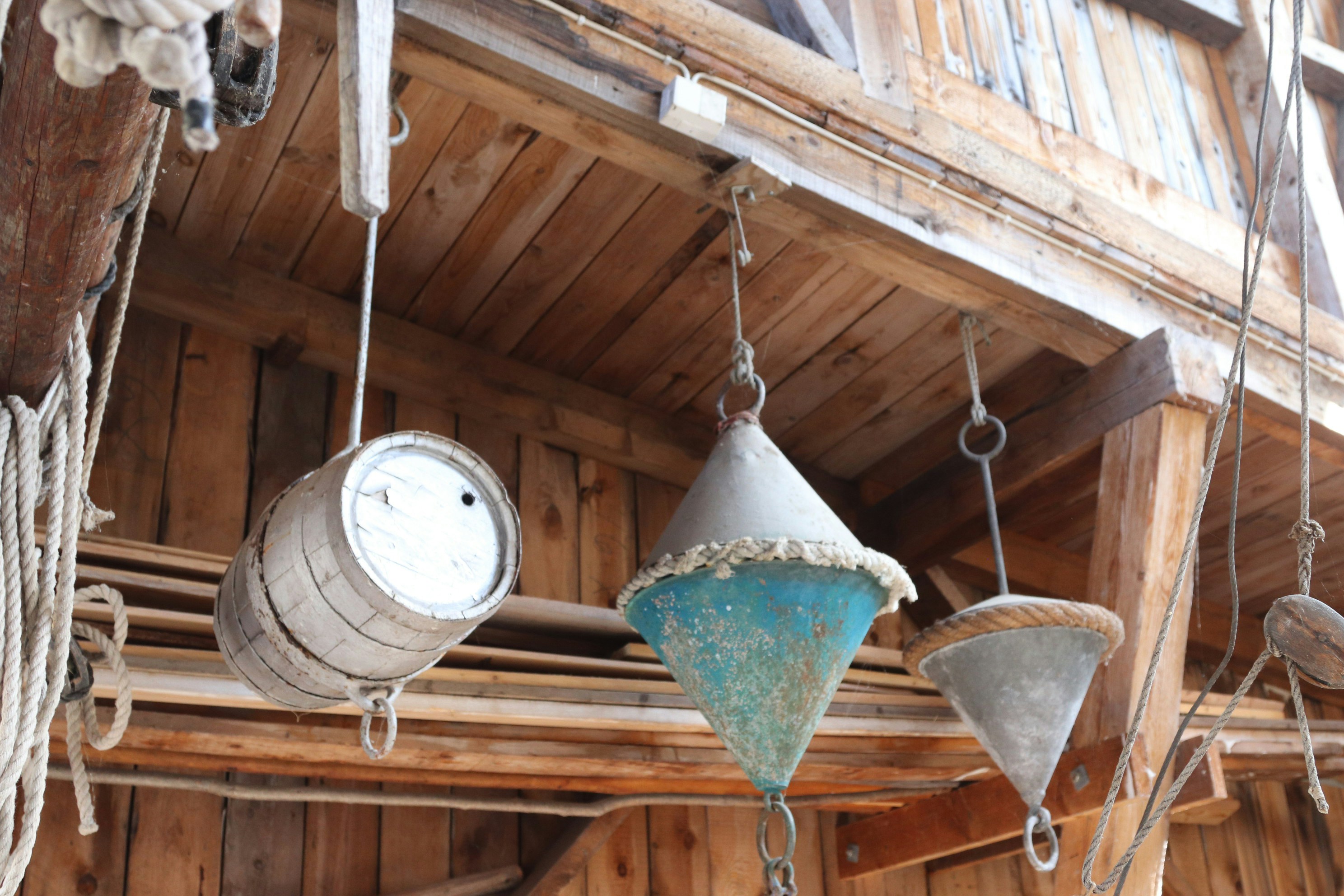 Photo by tanyabarrow