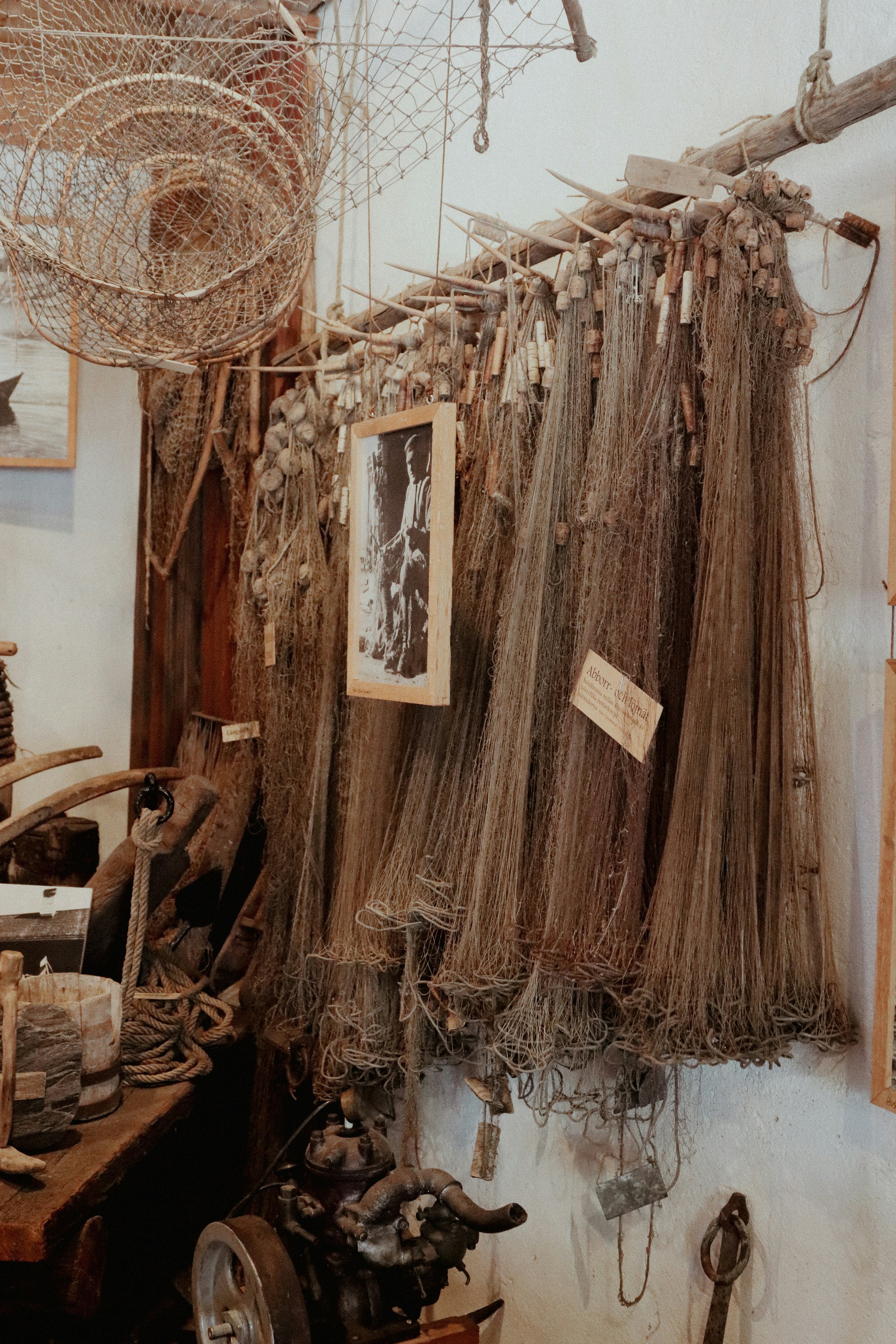 Photo by tanyabarrow