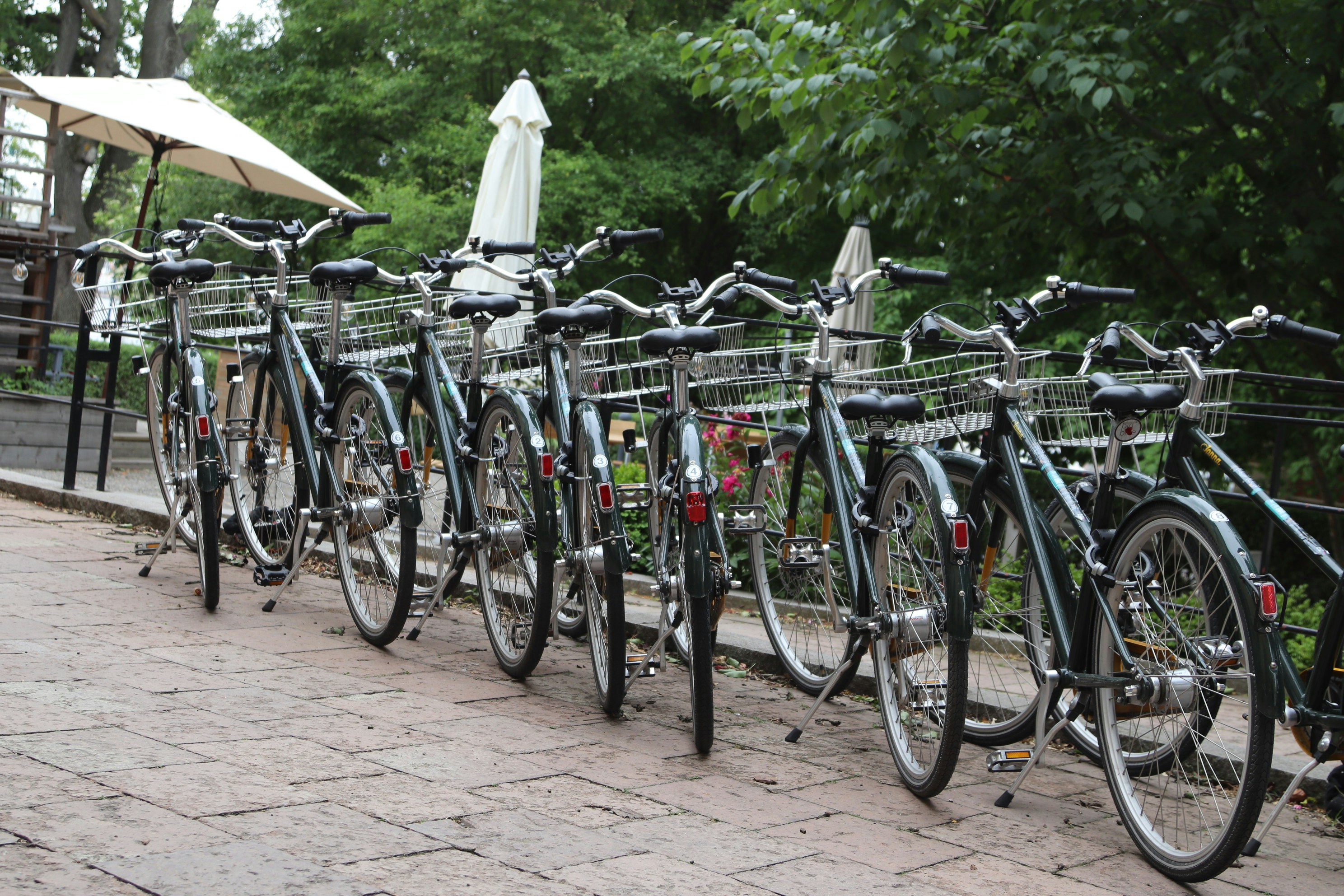 Photo by tanyabarrow