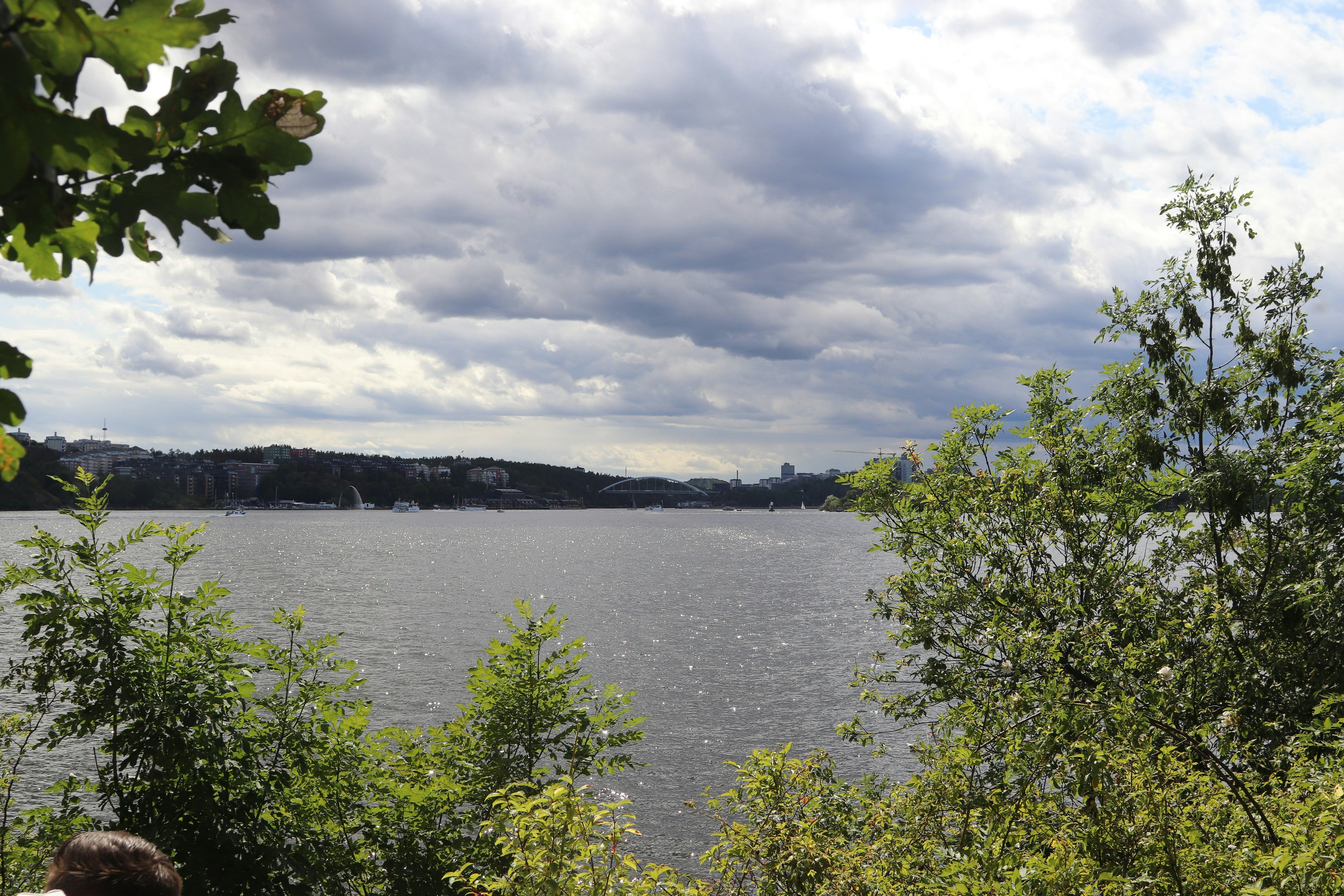 Photo by tanyabarrow