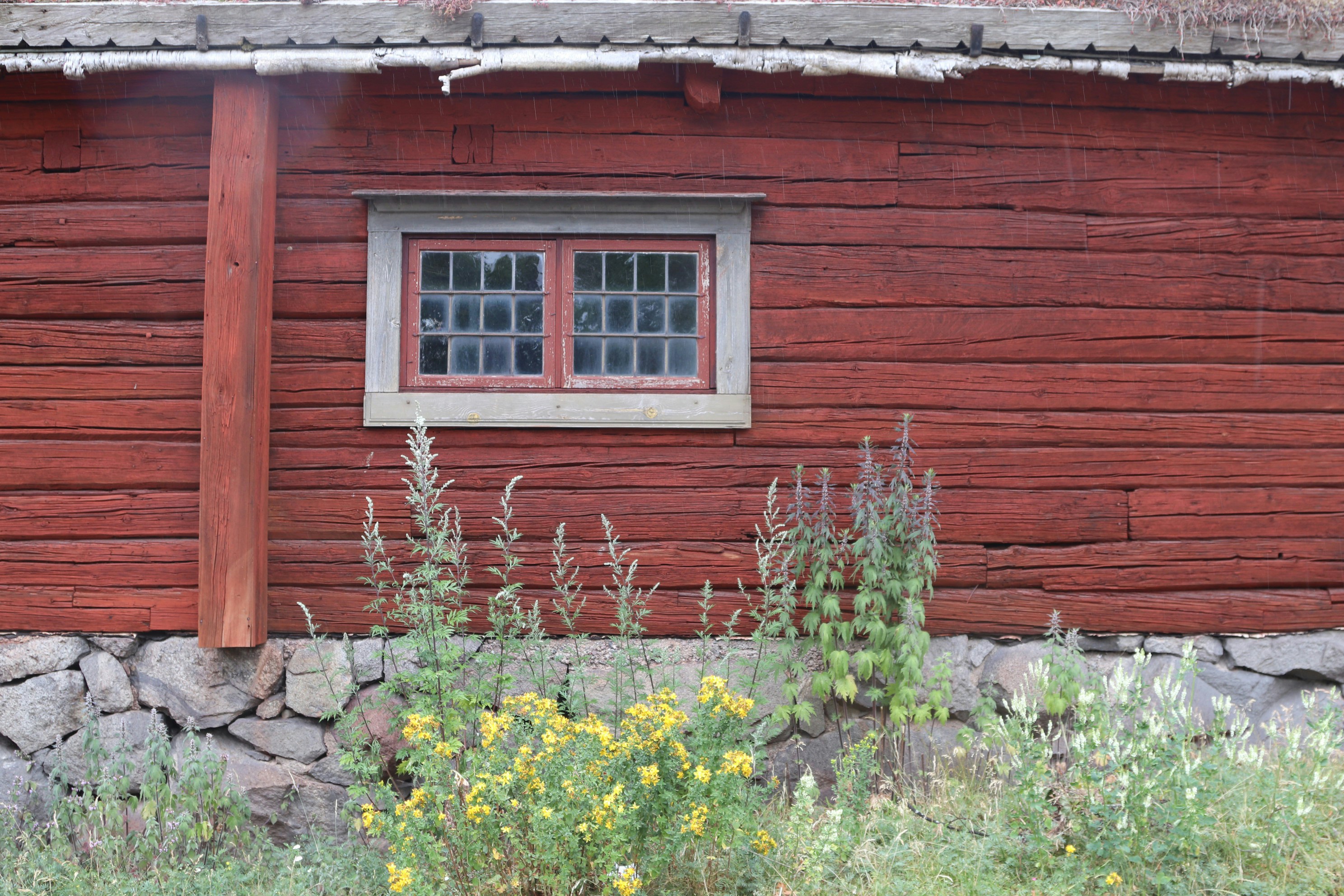 Photo by tanyabarrow