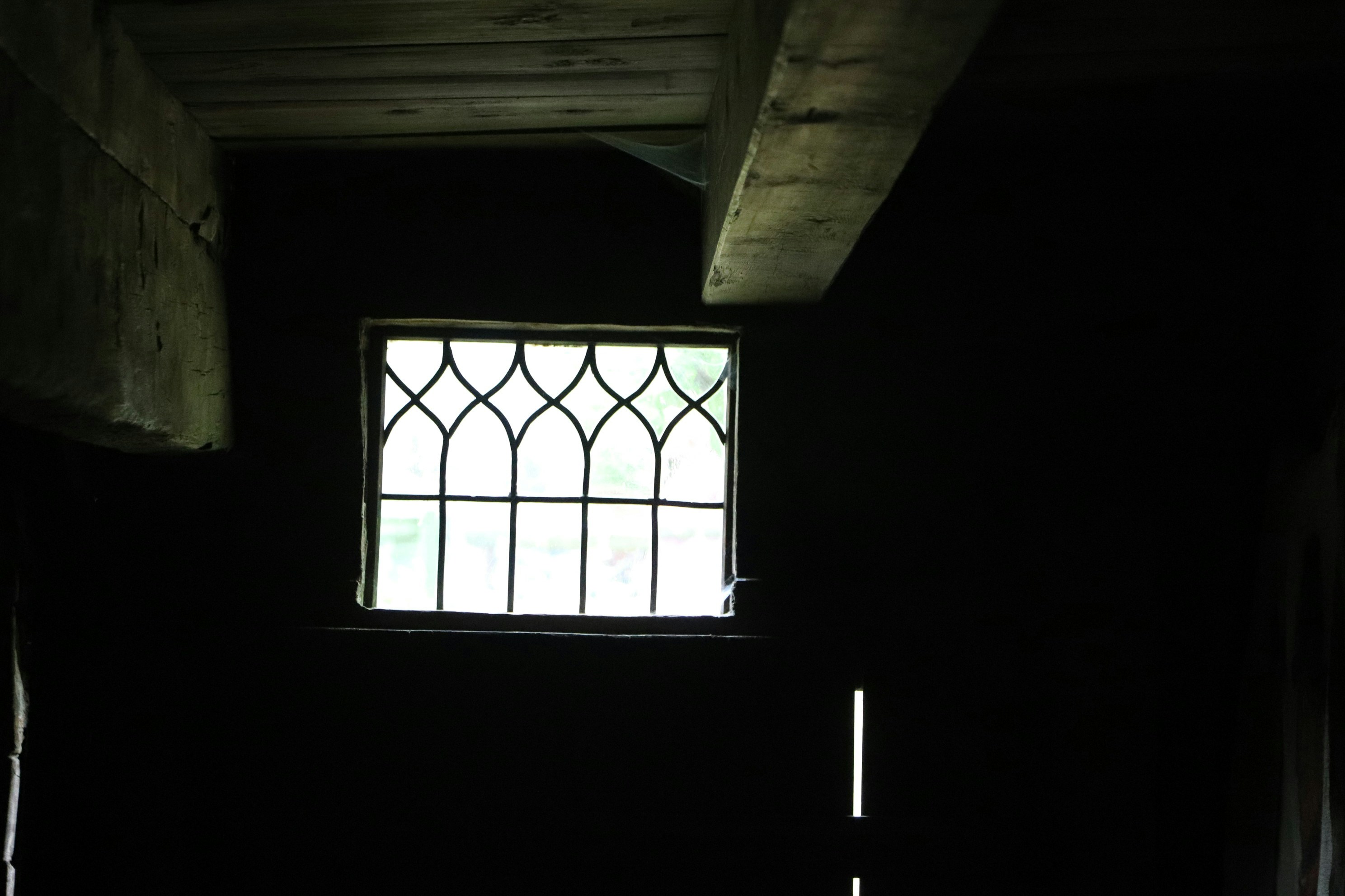 Photo by tanyabarrow