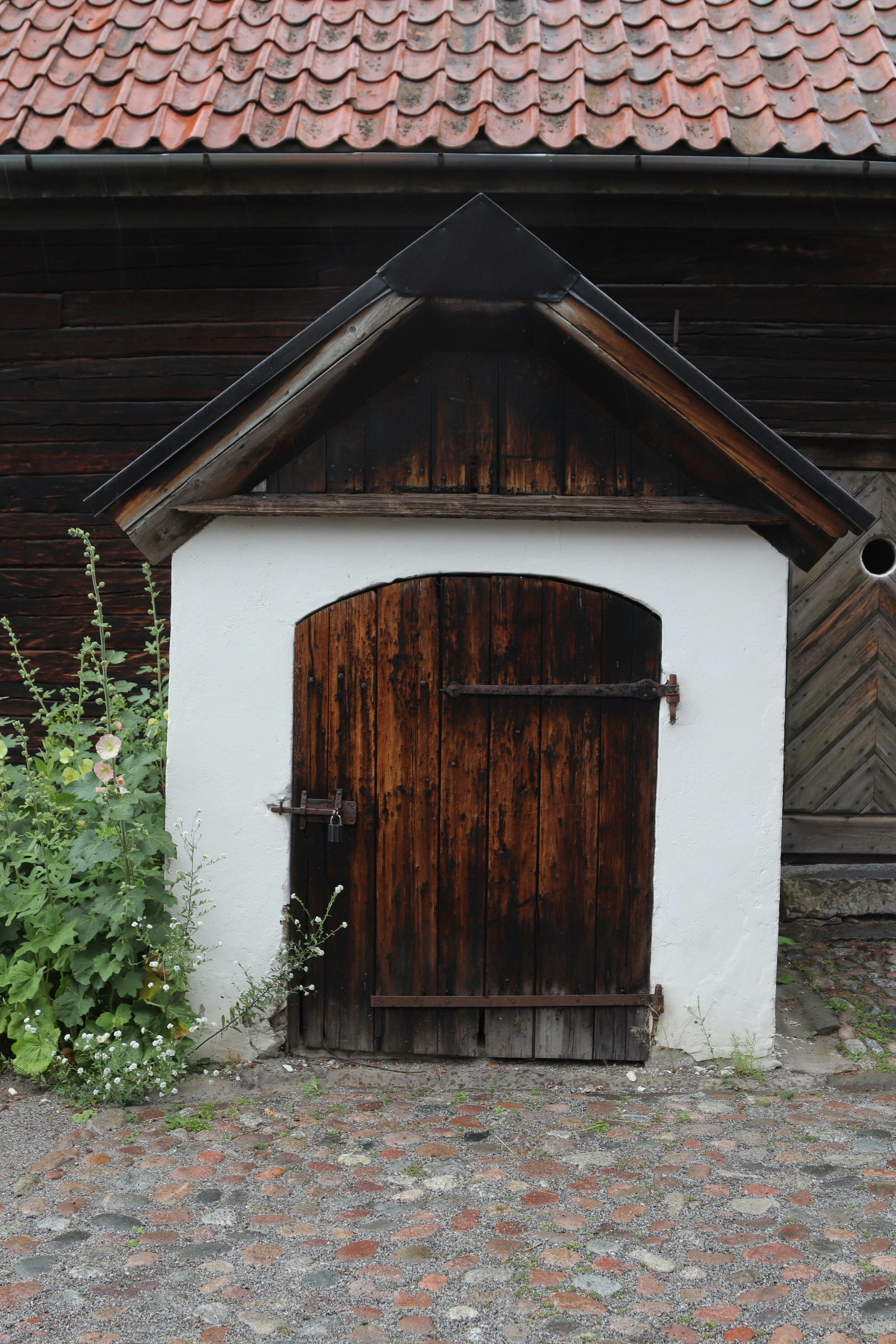 Photo by tanyabarrow