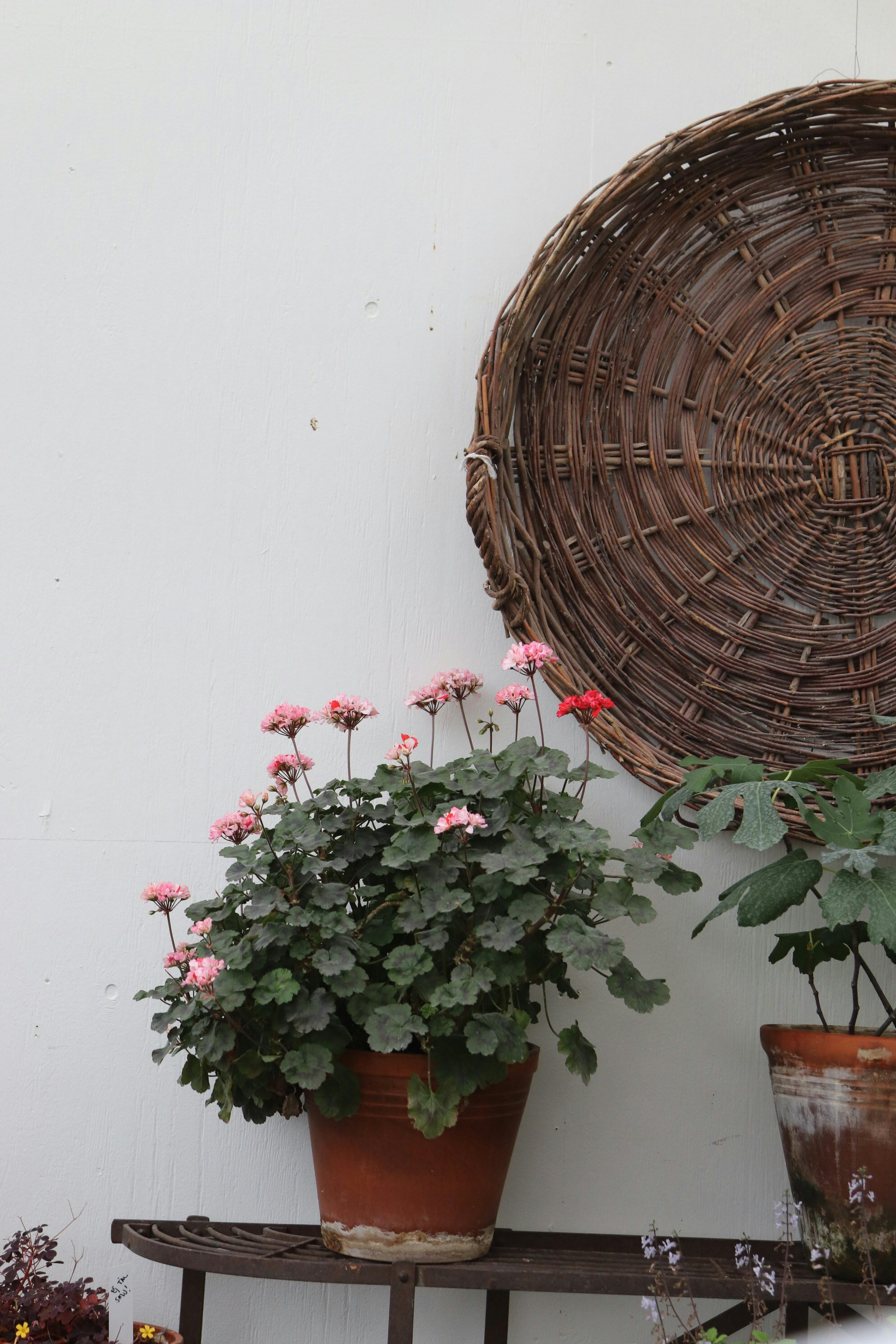 Photo by tanyabarrow