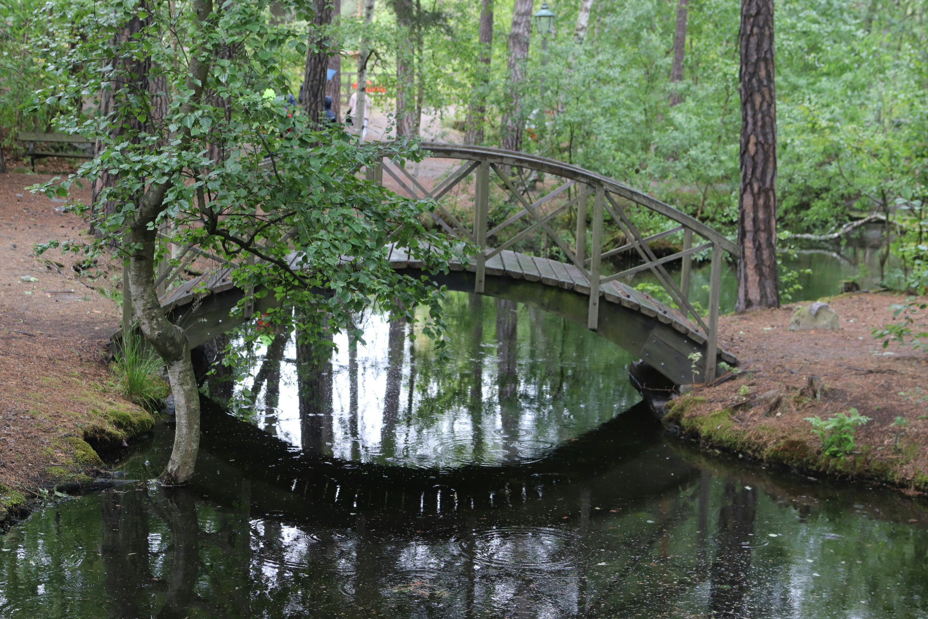 Photo by tanyabarrow