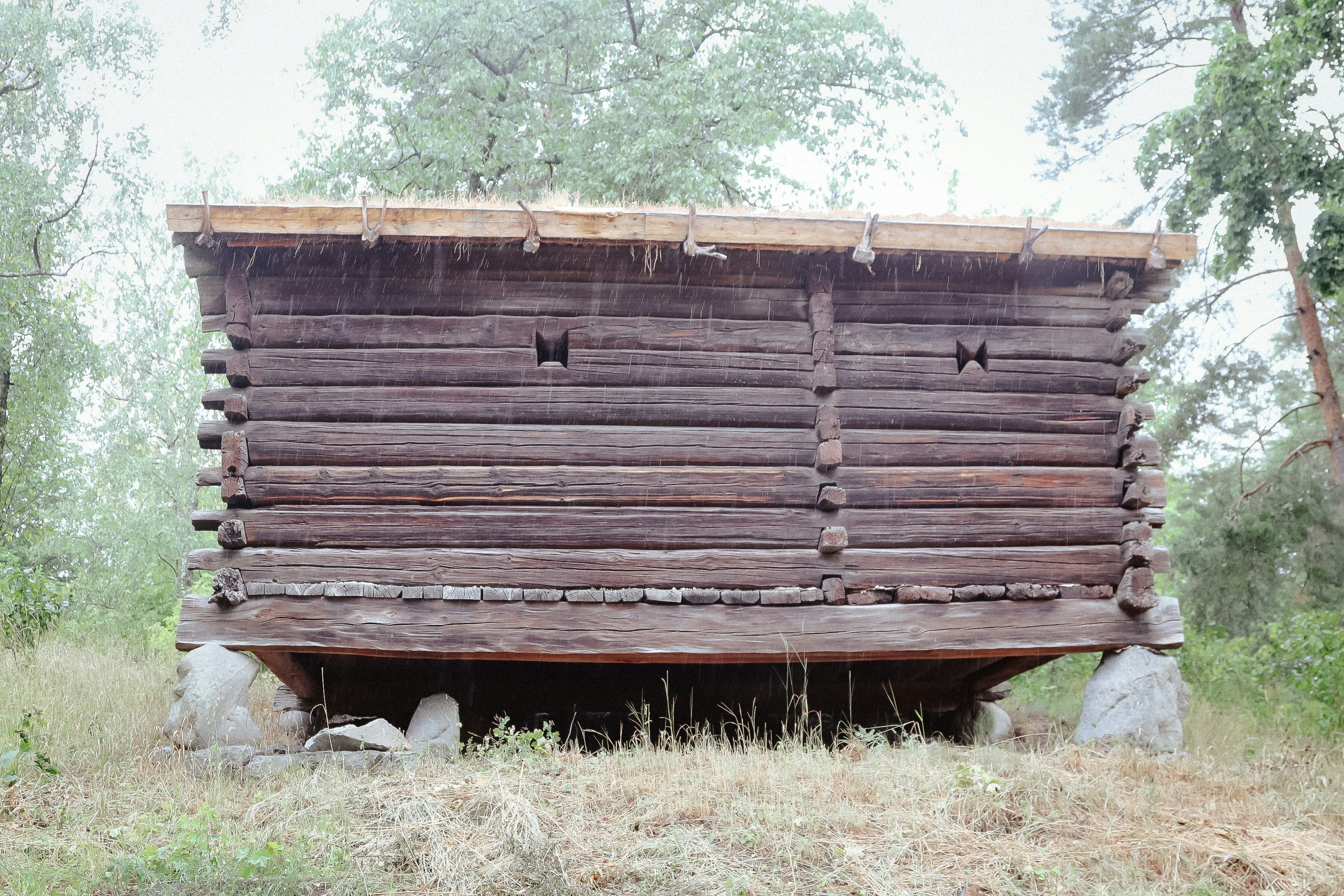 Photo by tanyabarrow