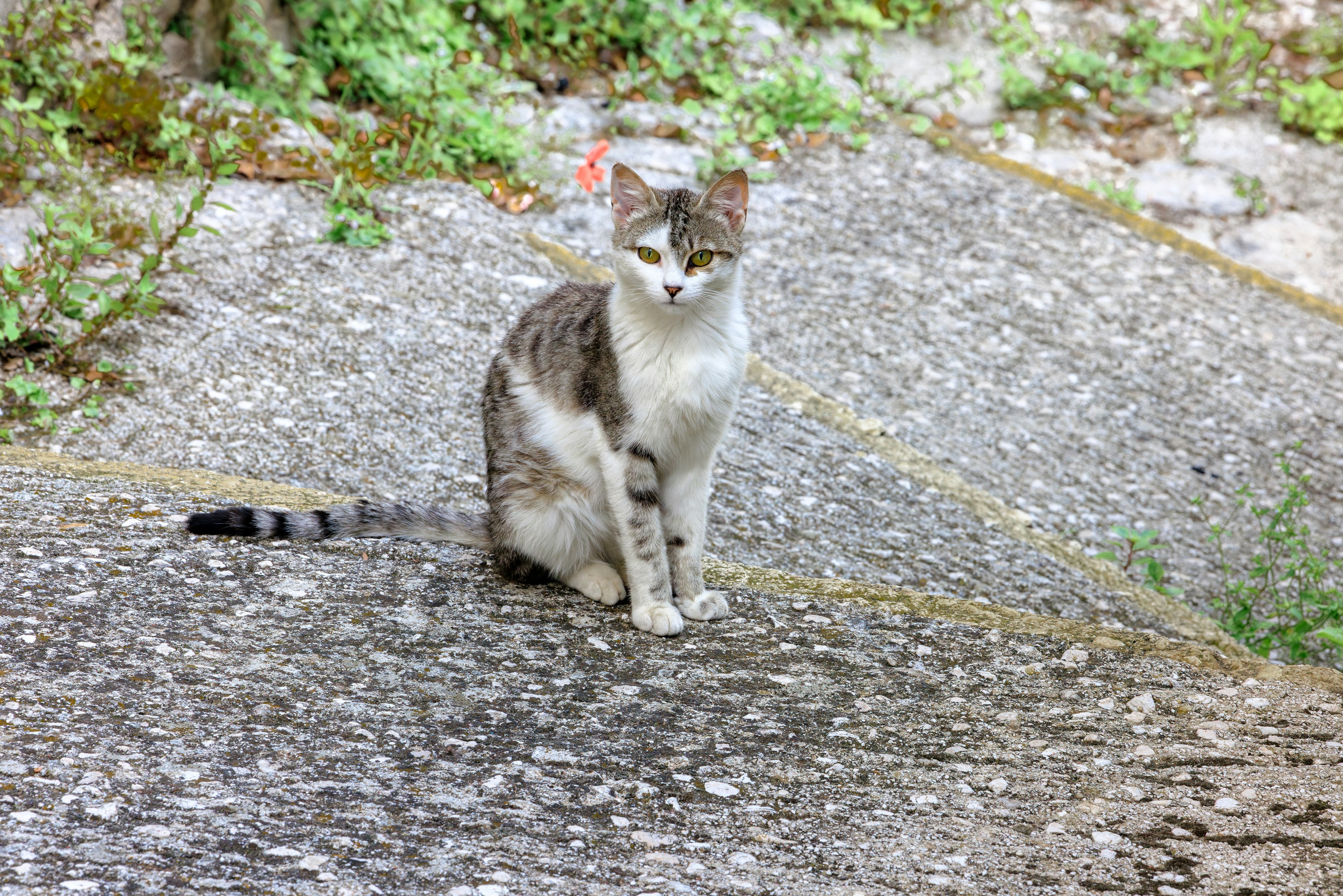 Photo by cristoforobonissone