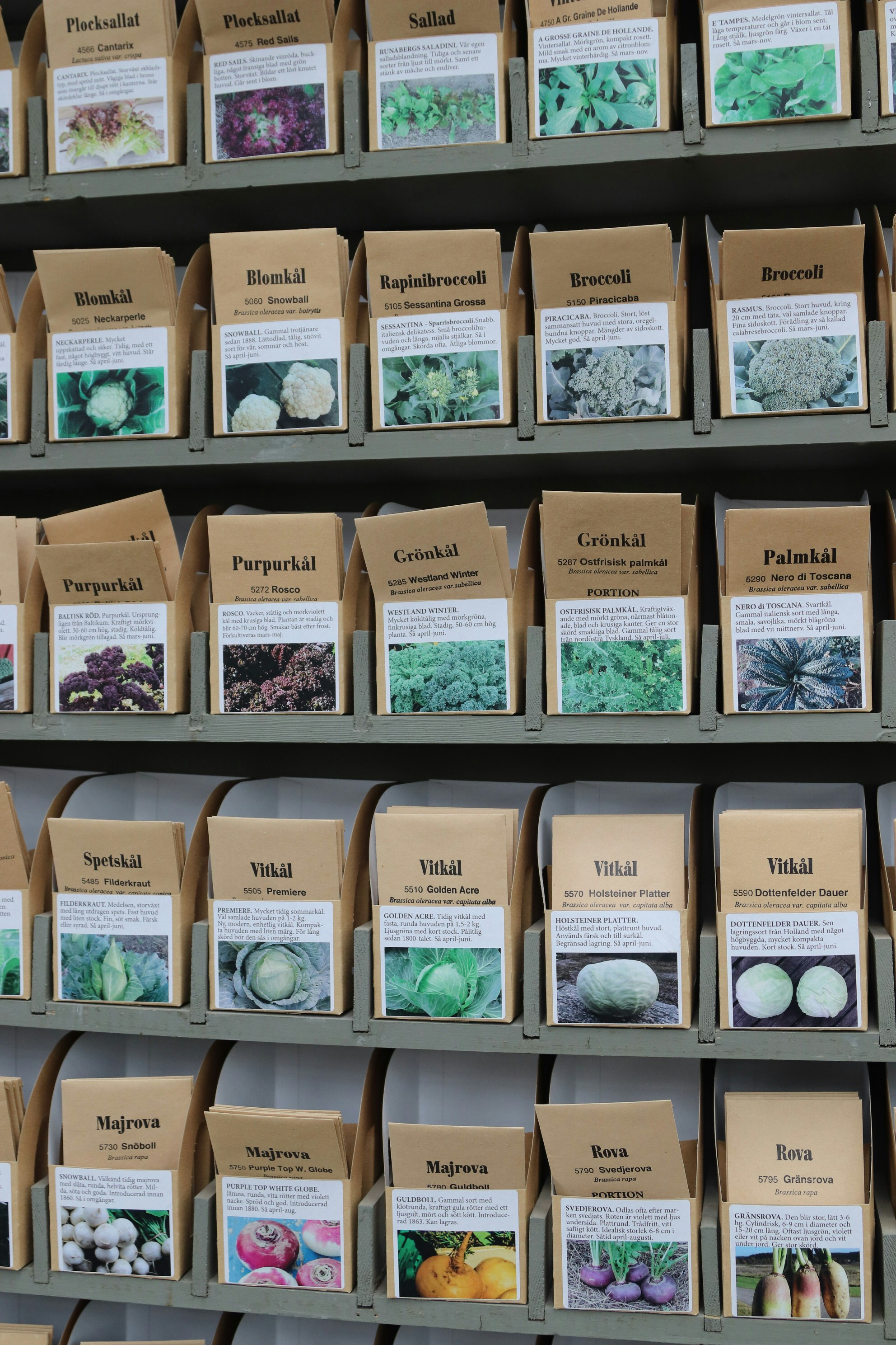 9 Online Loose-Leaf Tea Stores with Free Shipping