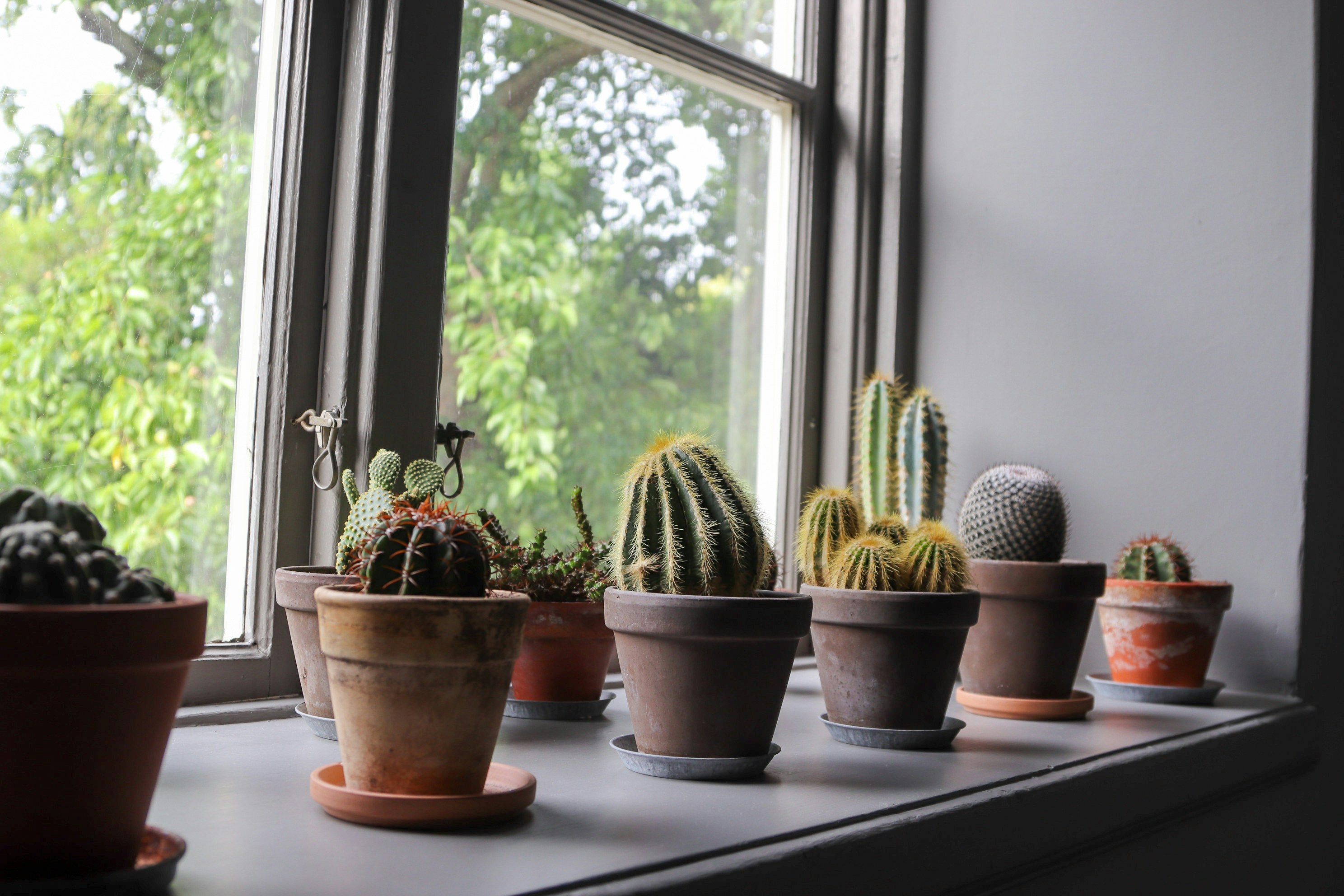 Photo by tanyabarrow