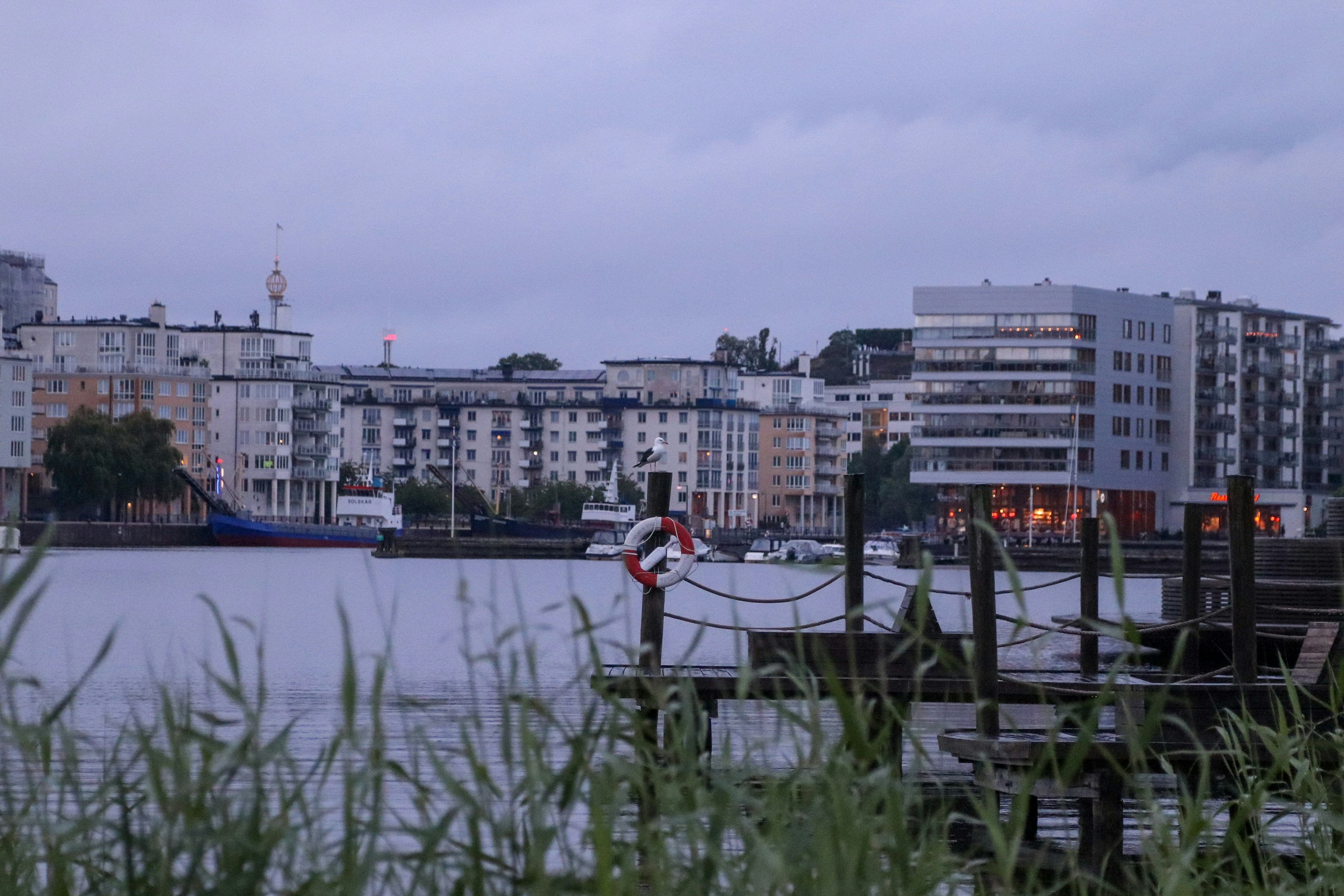 Photo by tanyabarrow