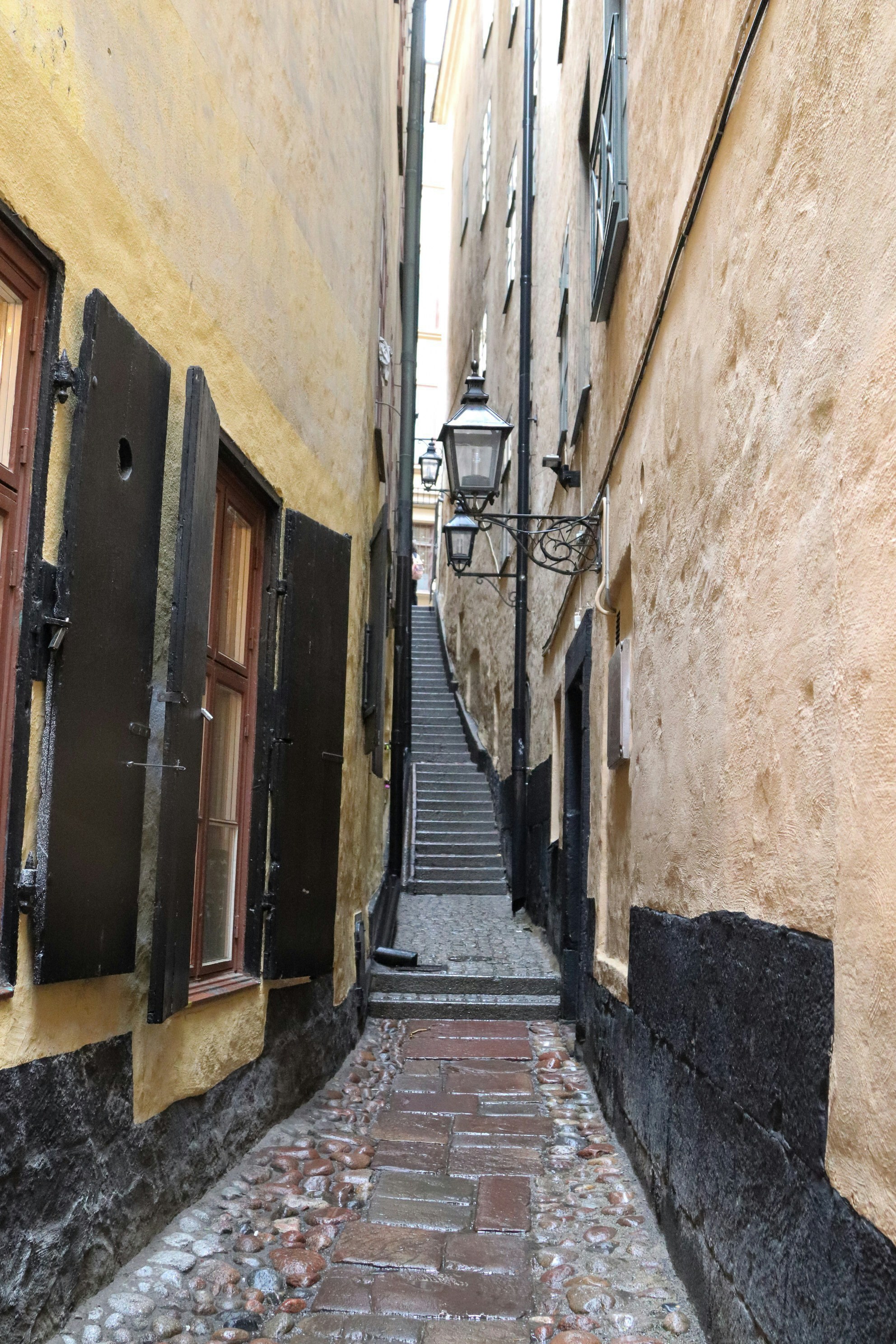 Photo by tanyabarrow