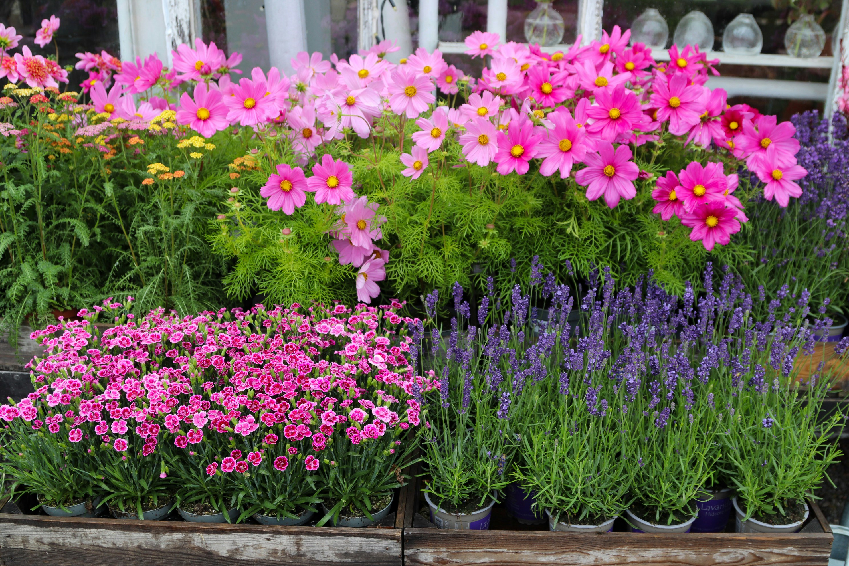 Photo by tanyabarrow