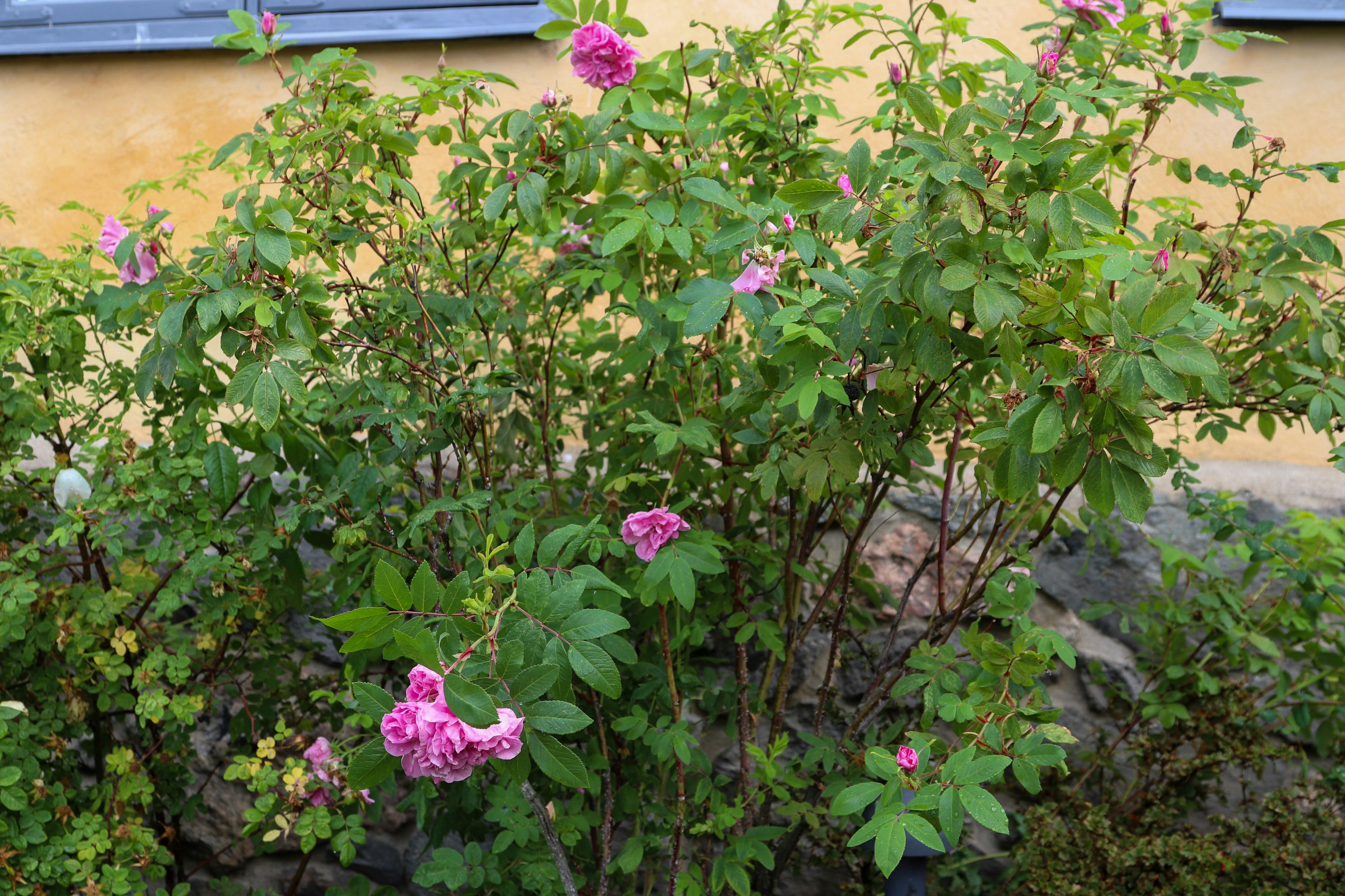 Photo by tanyabarrow