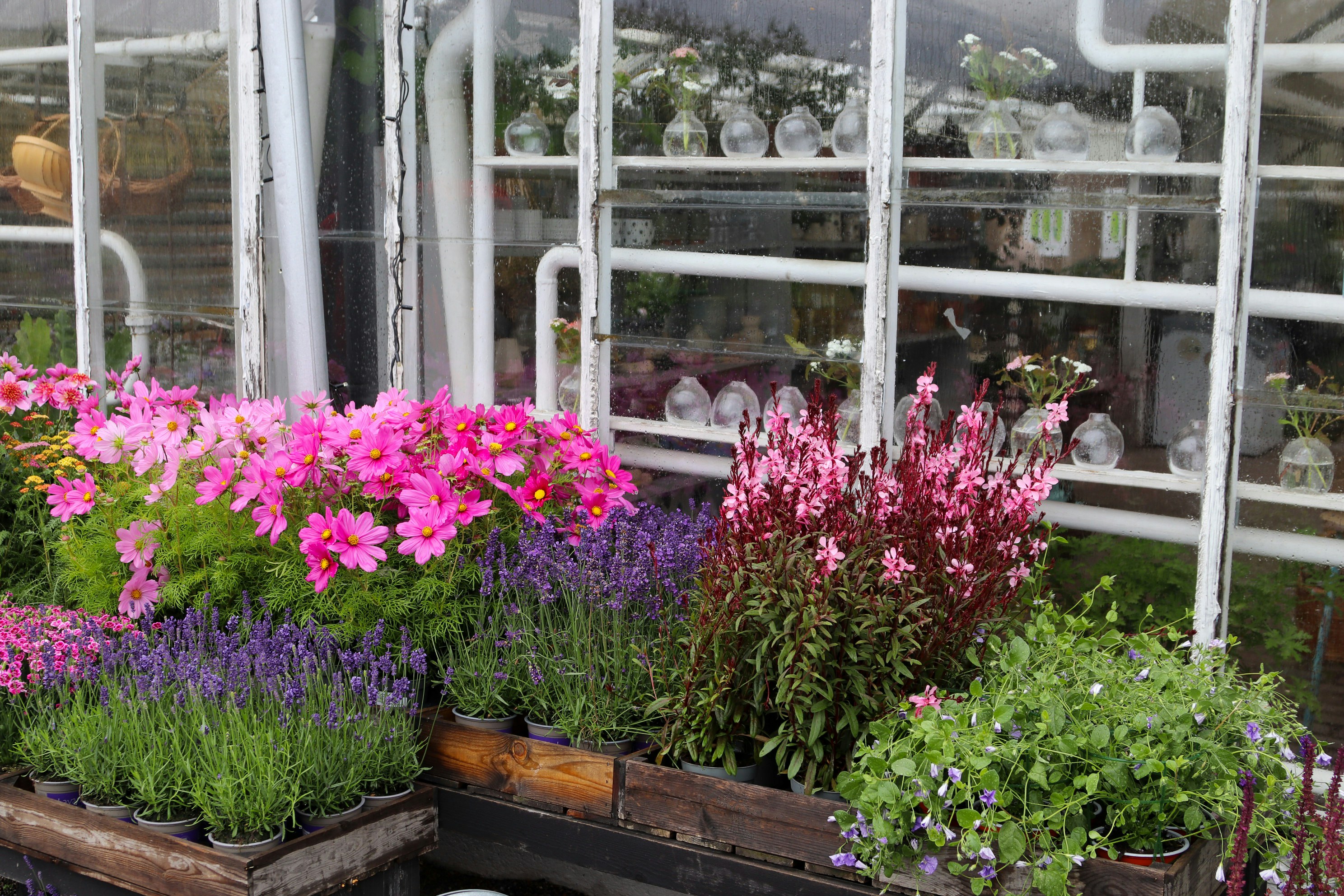 Photo by tanyabarrow