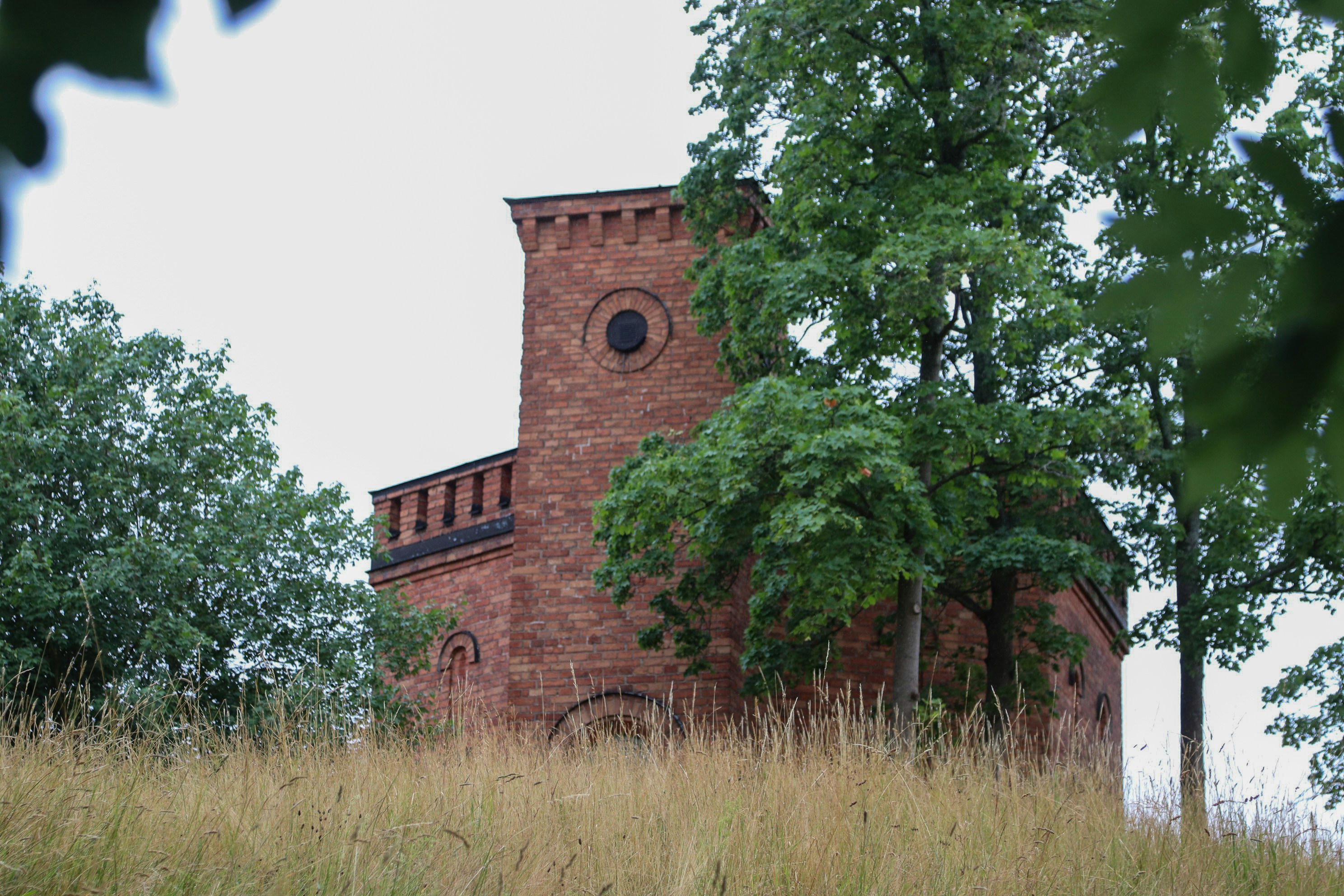 Photo by tanyabarrow