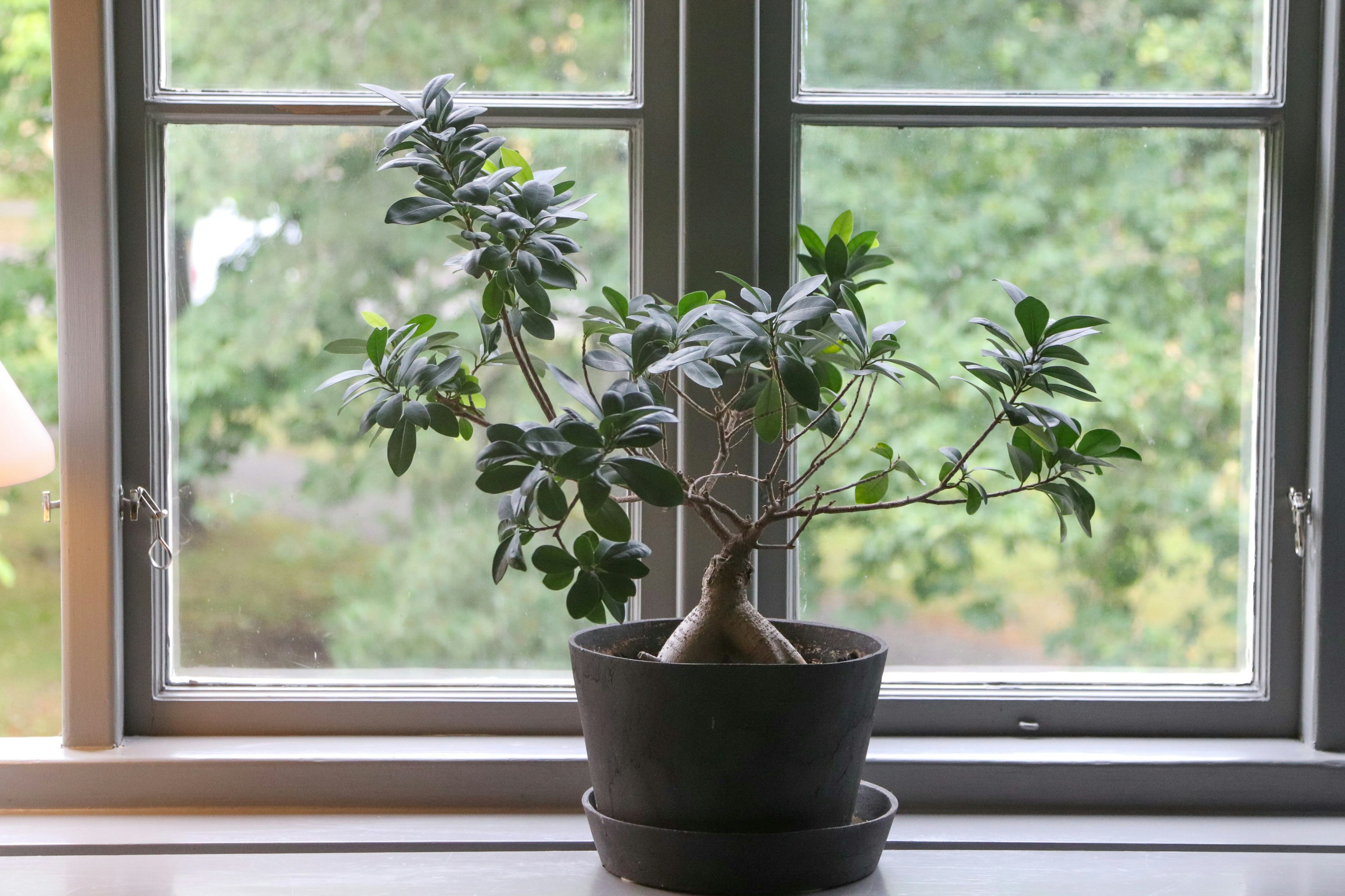 Photo by tanyabarrow