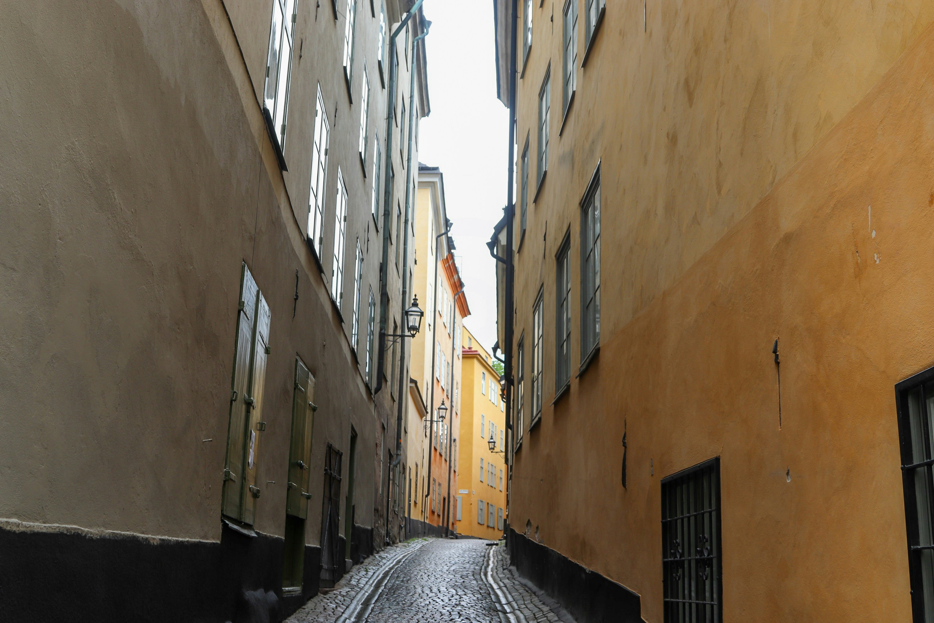 Photo by tanyabarrow