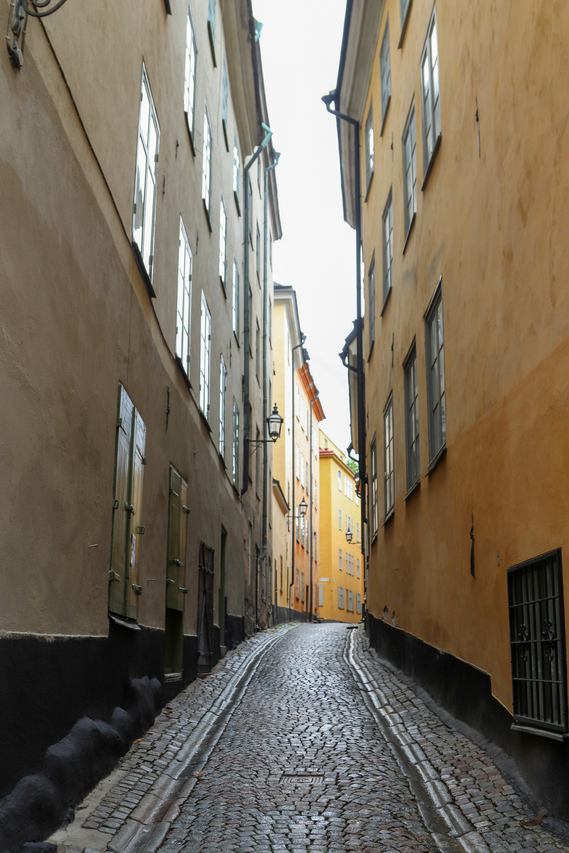 Photo by tanyabarrow