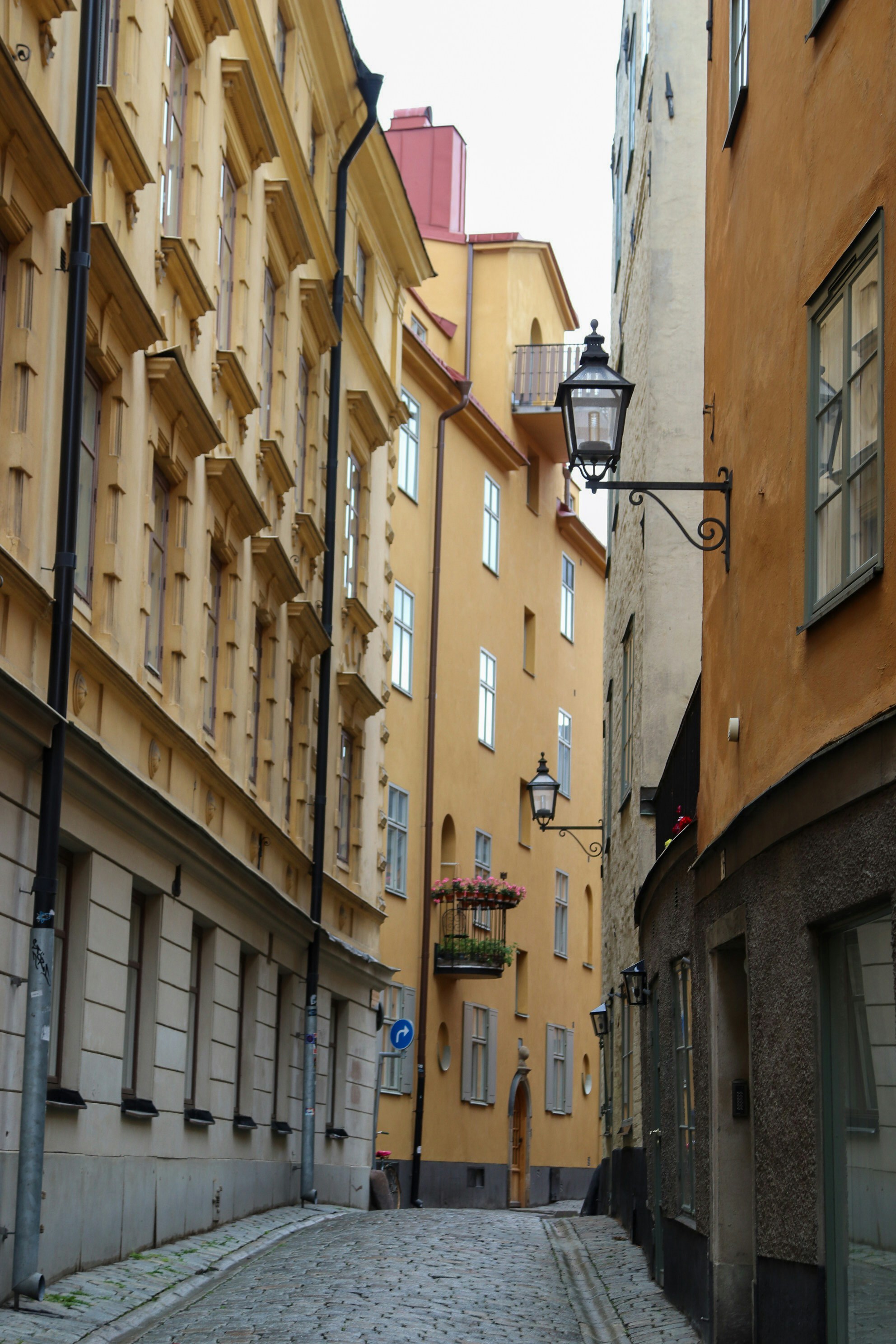 Photo by tanyabarrow