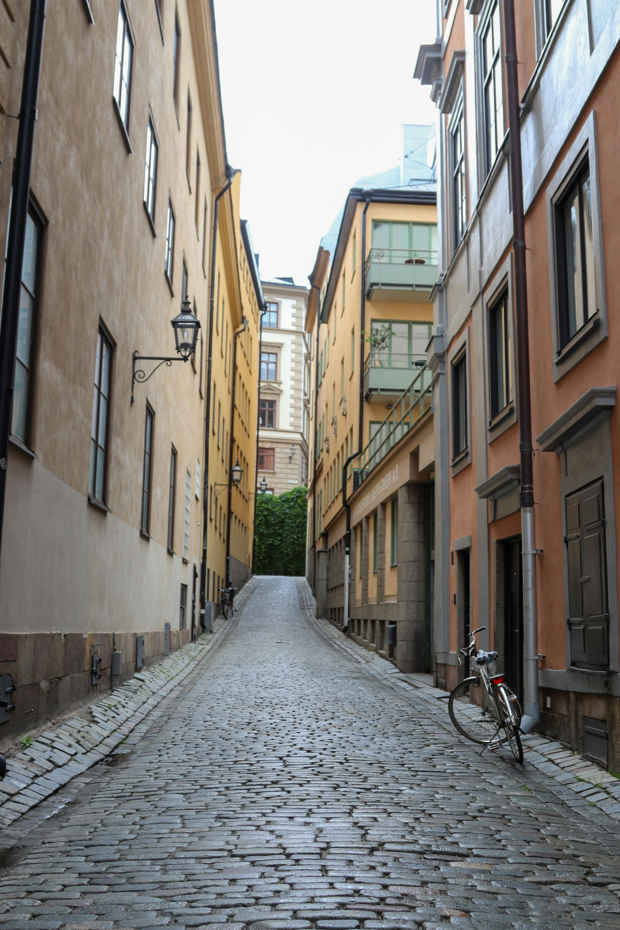 Photo by tanyabarrow