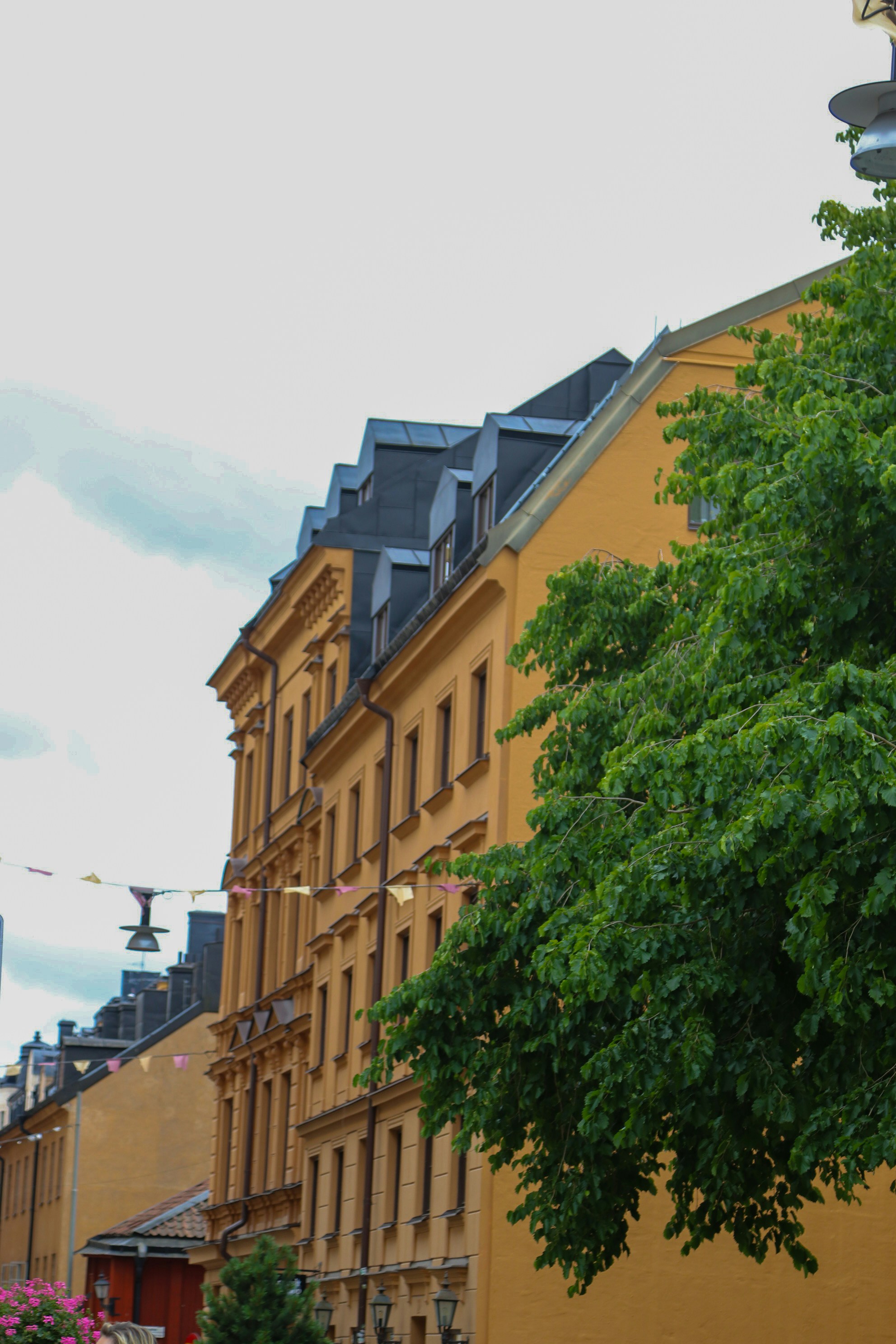 Photo by tanyabarrow