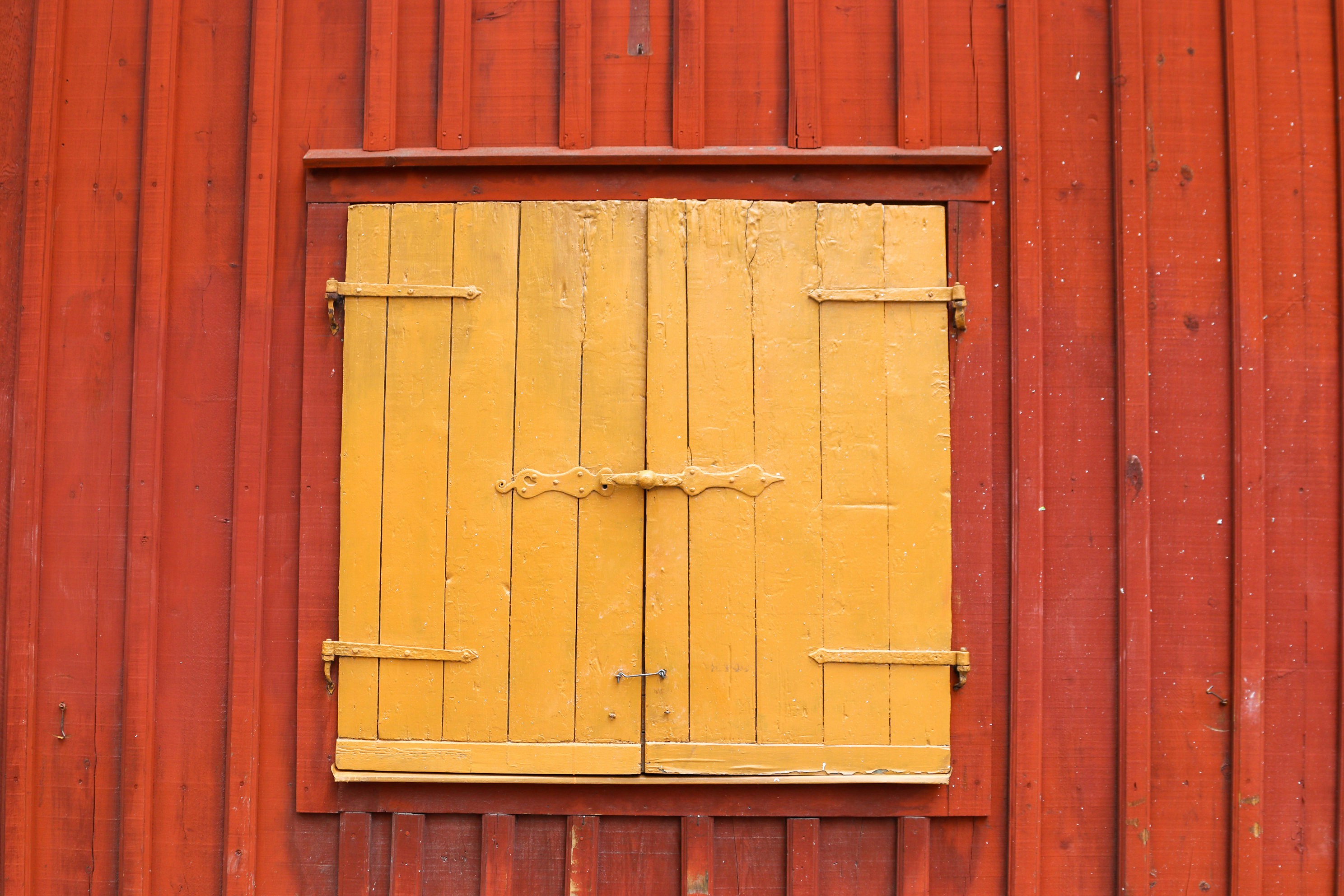 Photo by tanyabarrow