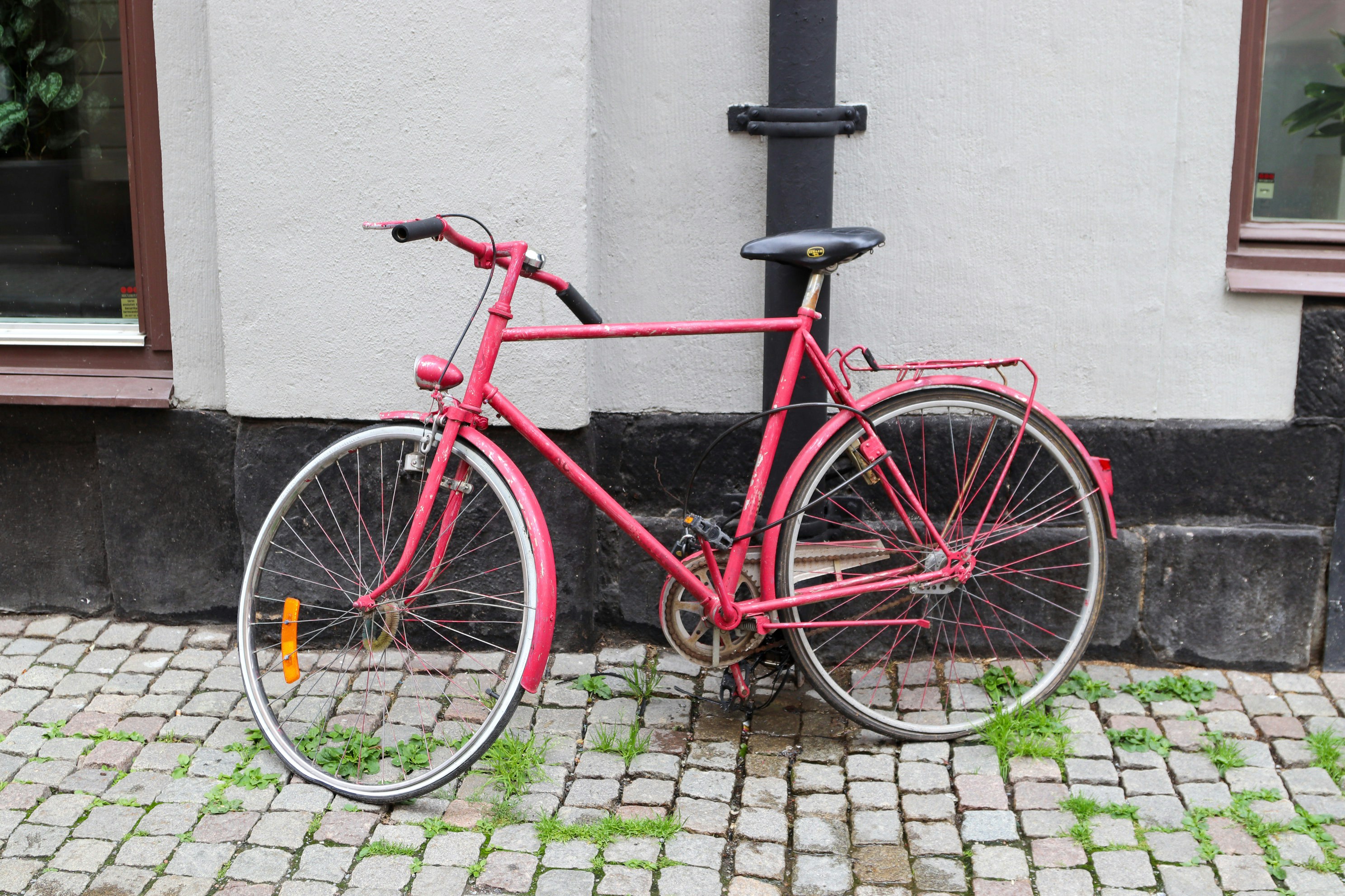 Photo by tanyabarrow