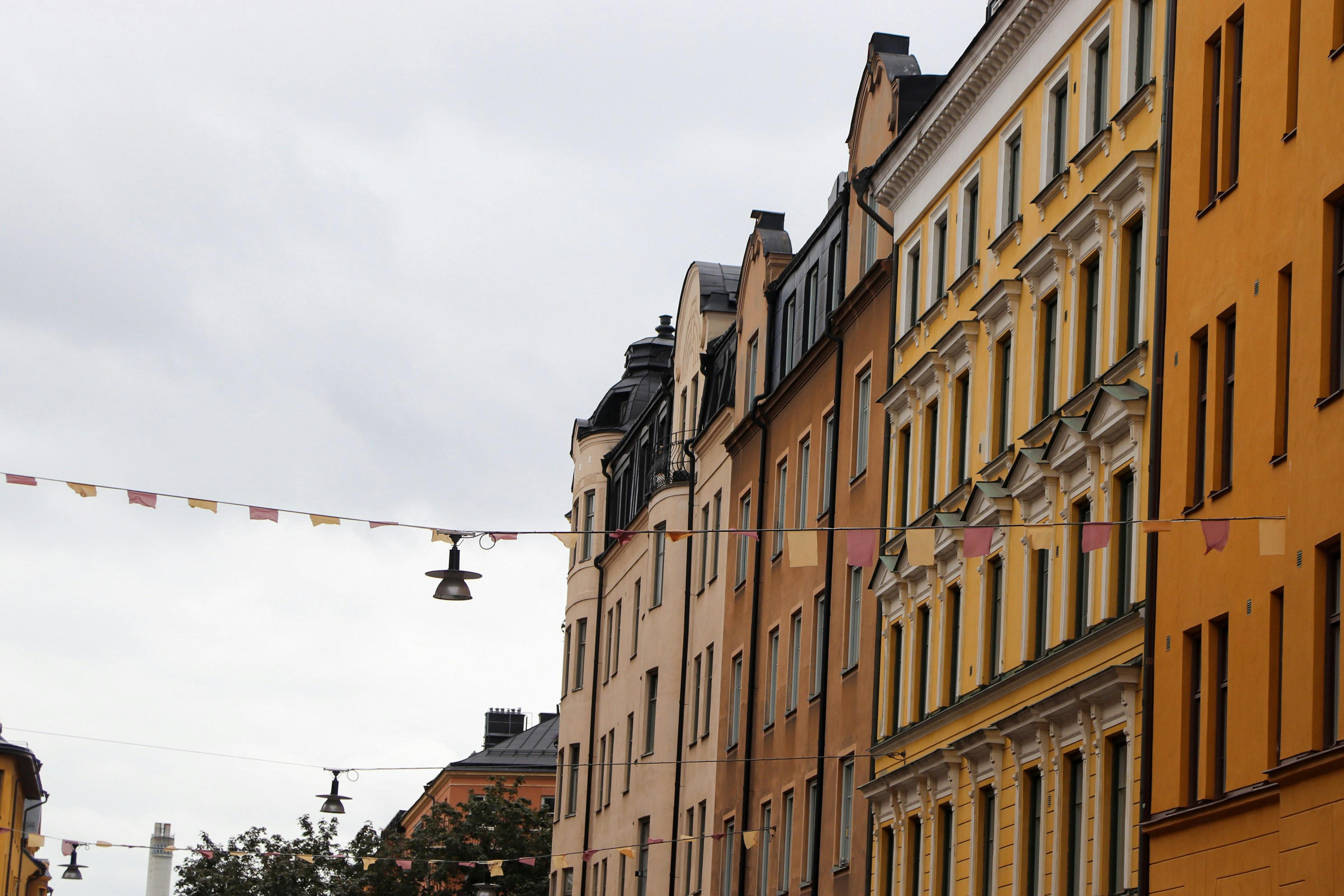 Photo by tanyabarrow