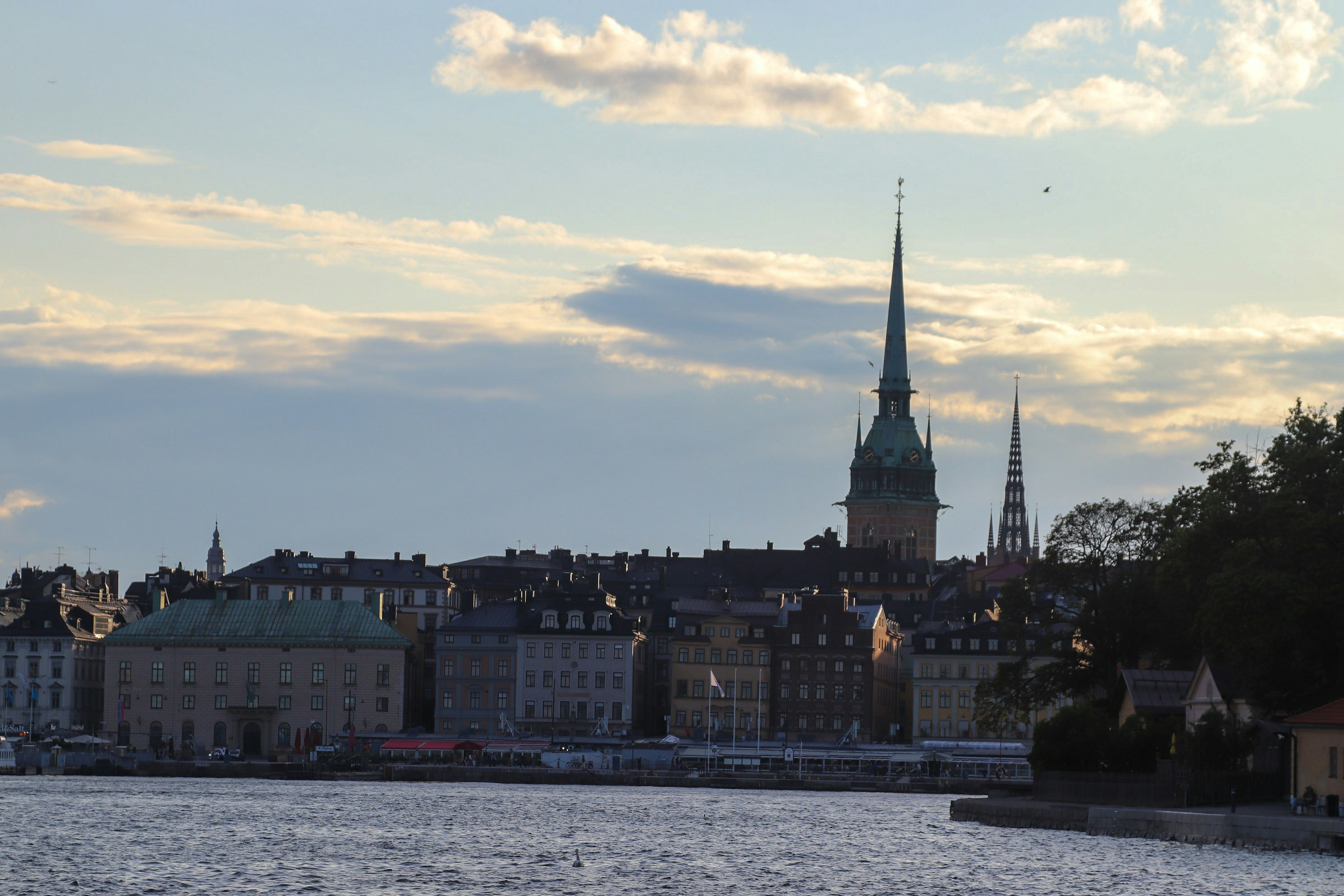 Photo by tanyabarrow