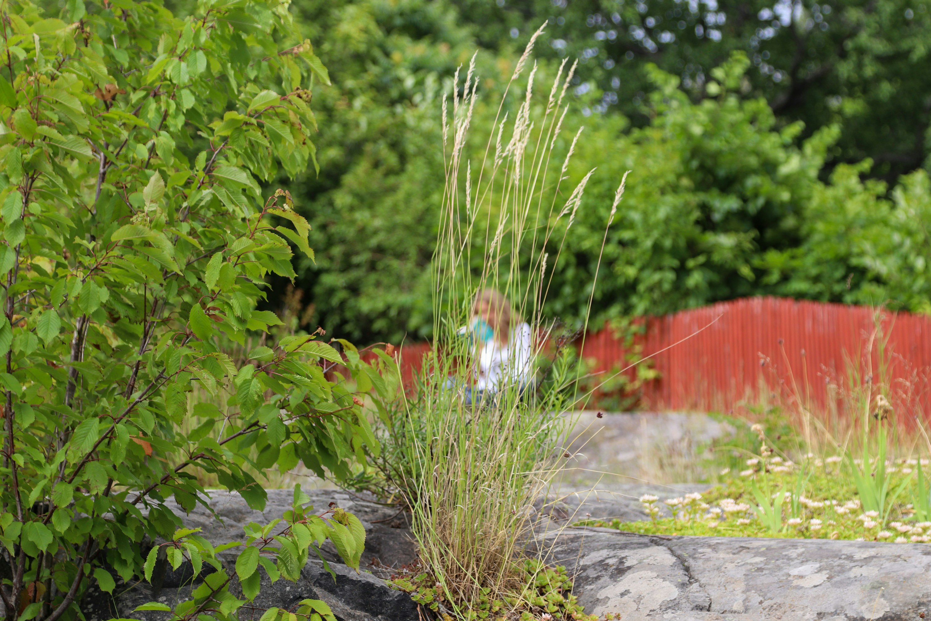 Photo by tanyabarrow