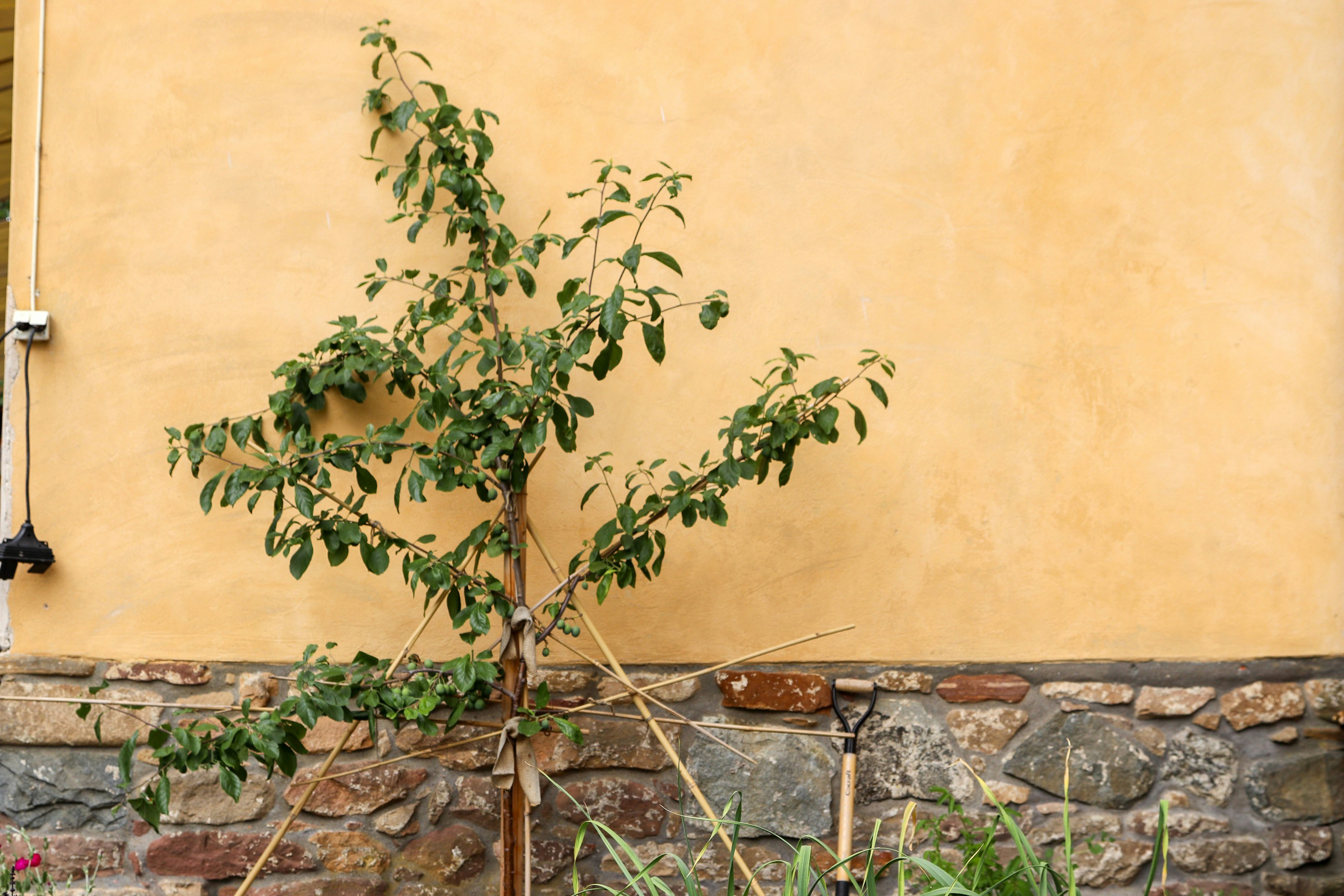 Photo by tanyabarrow