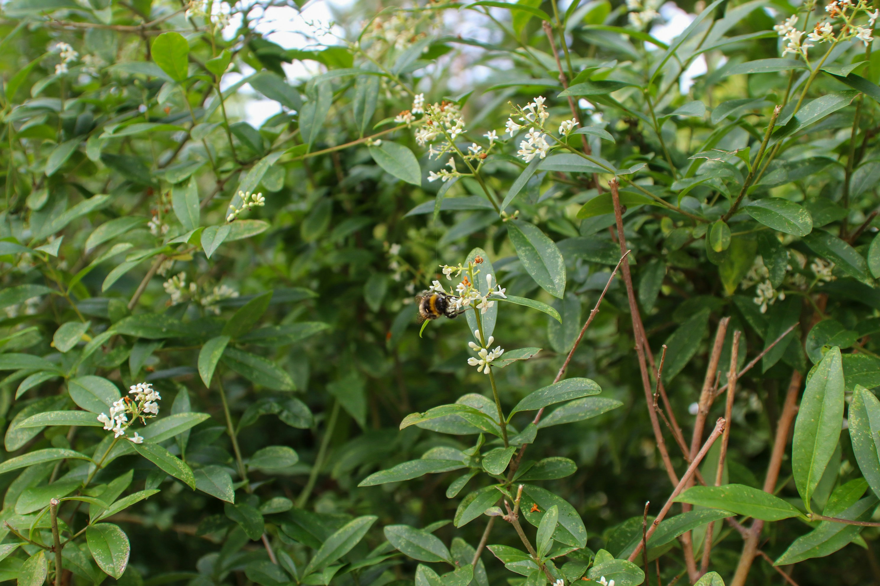 Photo by tanyabarrow