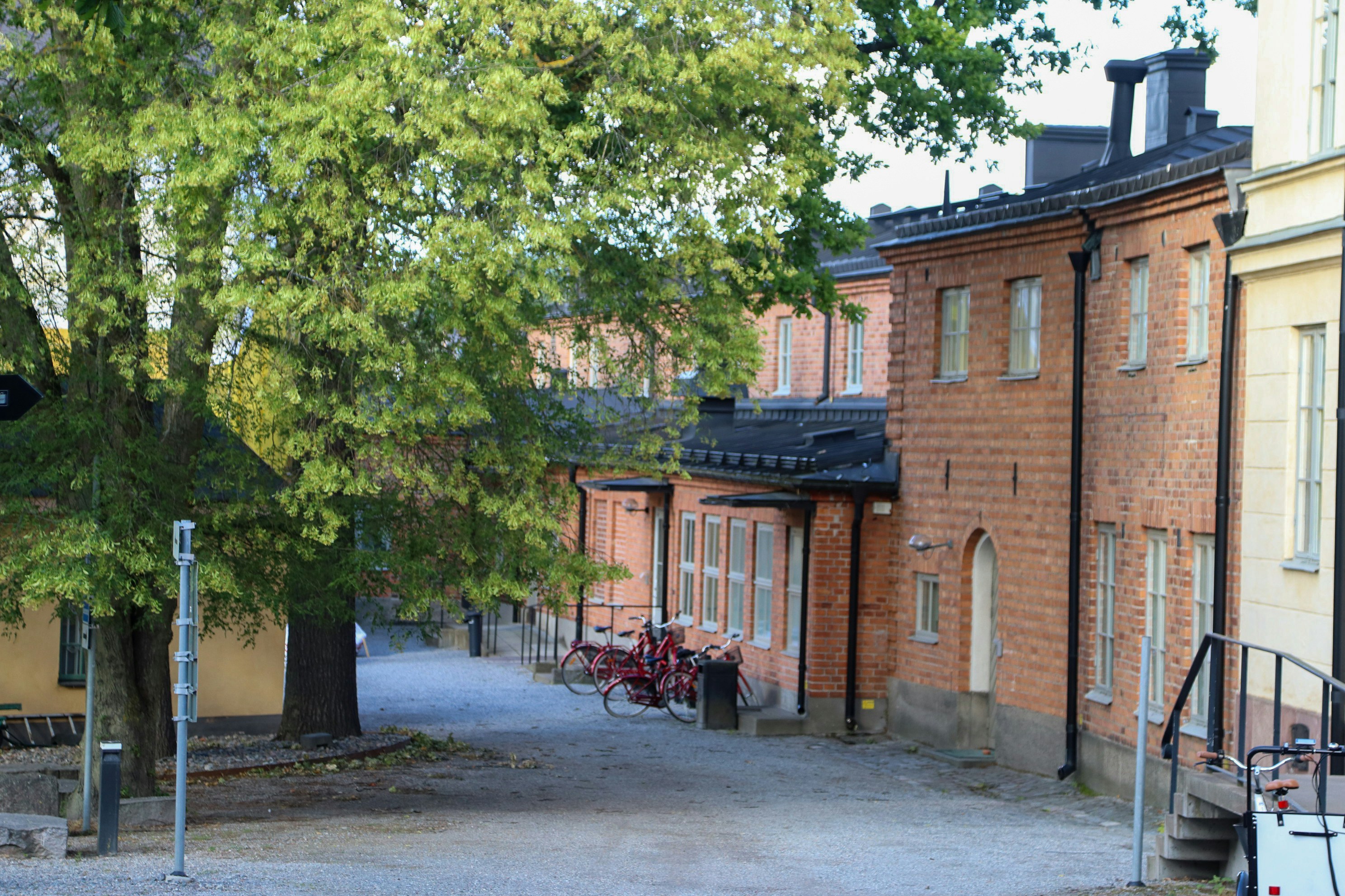 Buildings and a tree line a quiet street