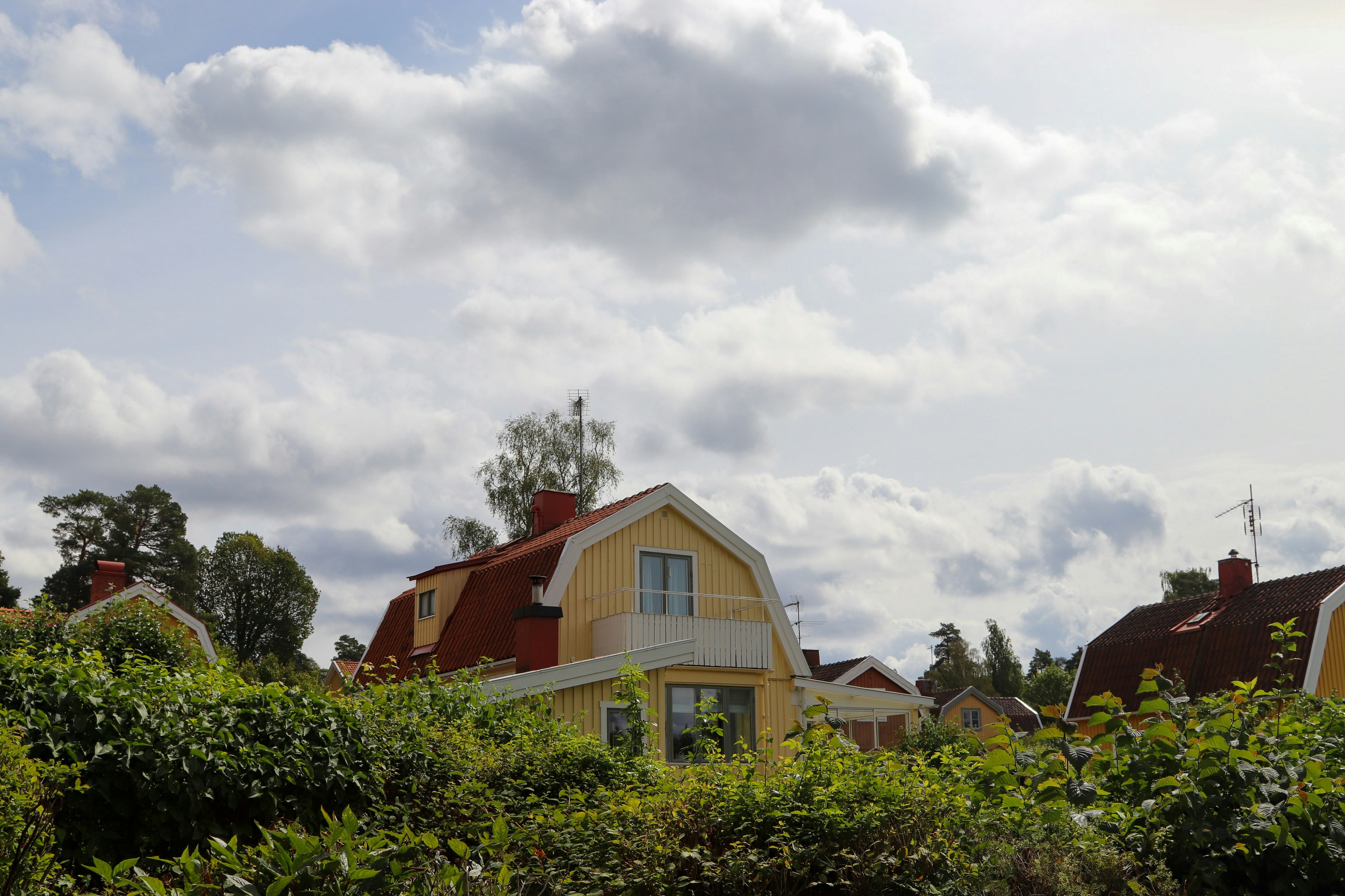 Photo by tanyabarrow