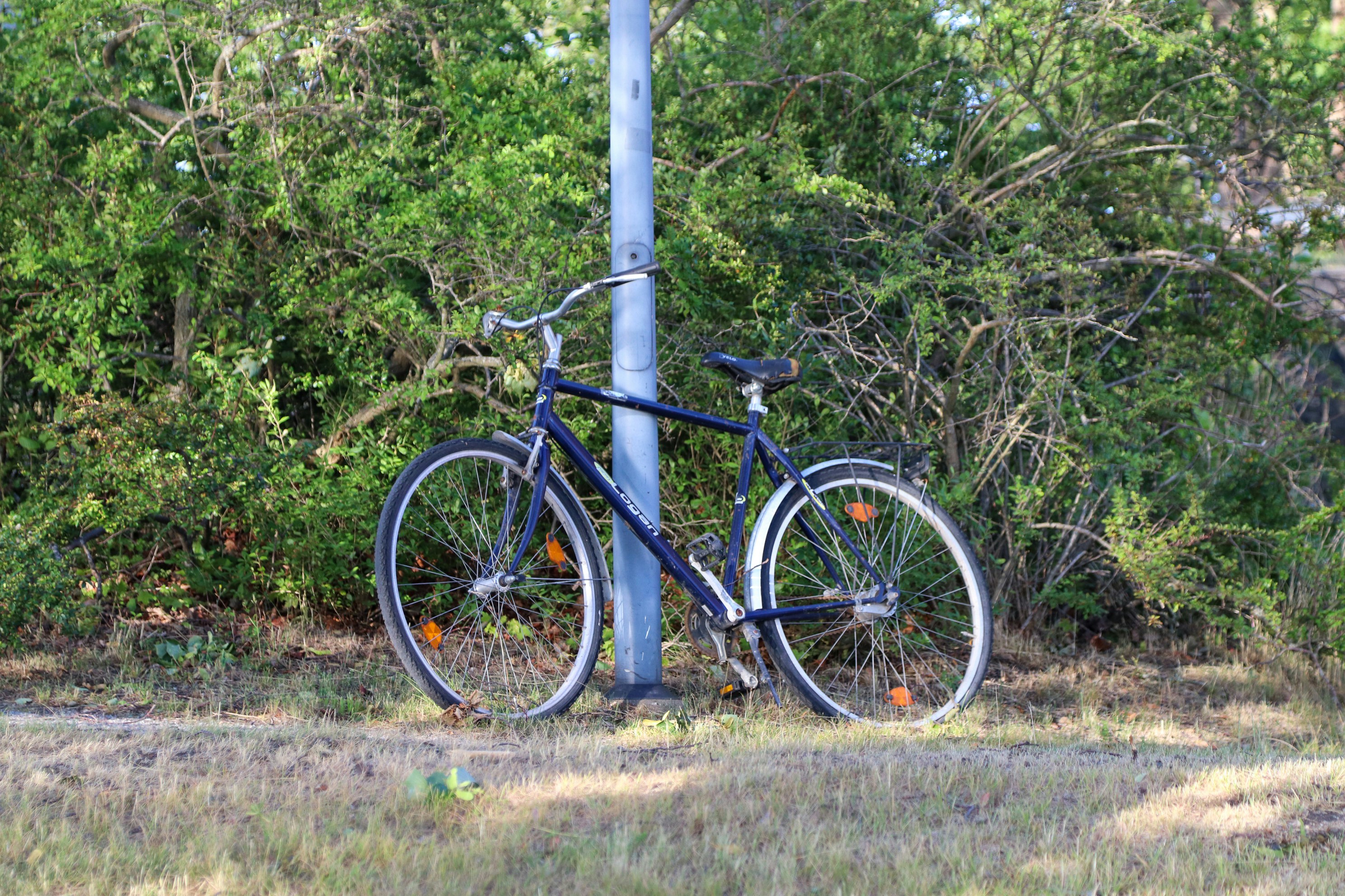 Photo by tanyabarrow