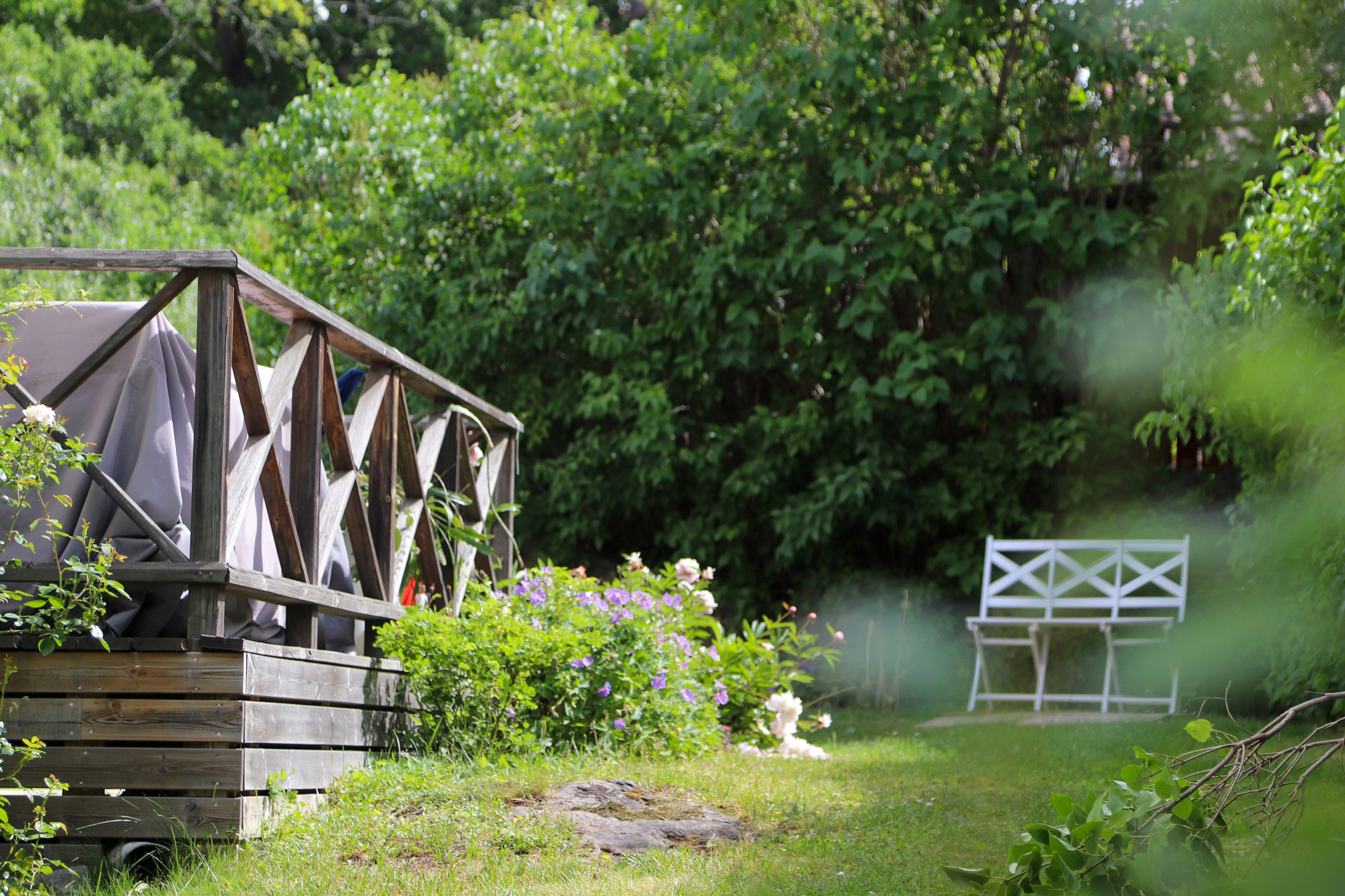 Photo by tanyabarrow