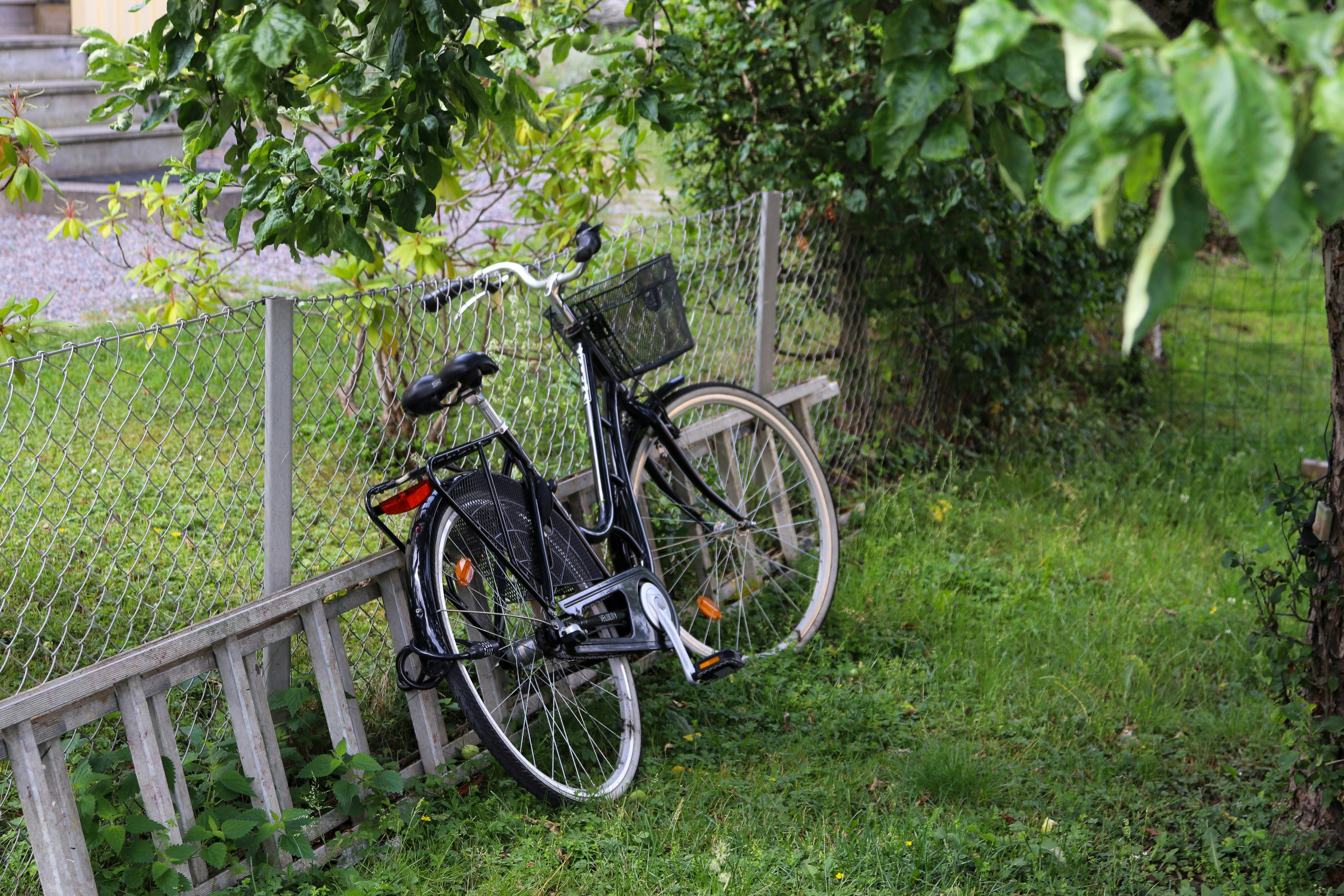 Photo by tanyabarrow