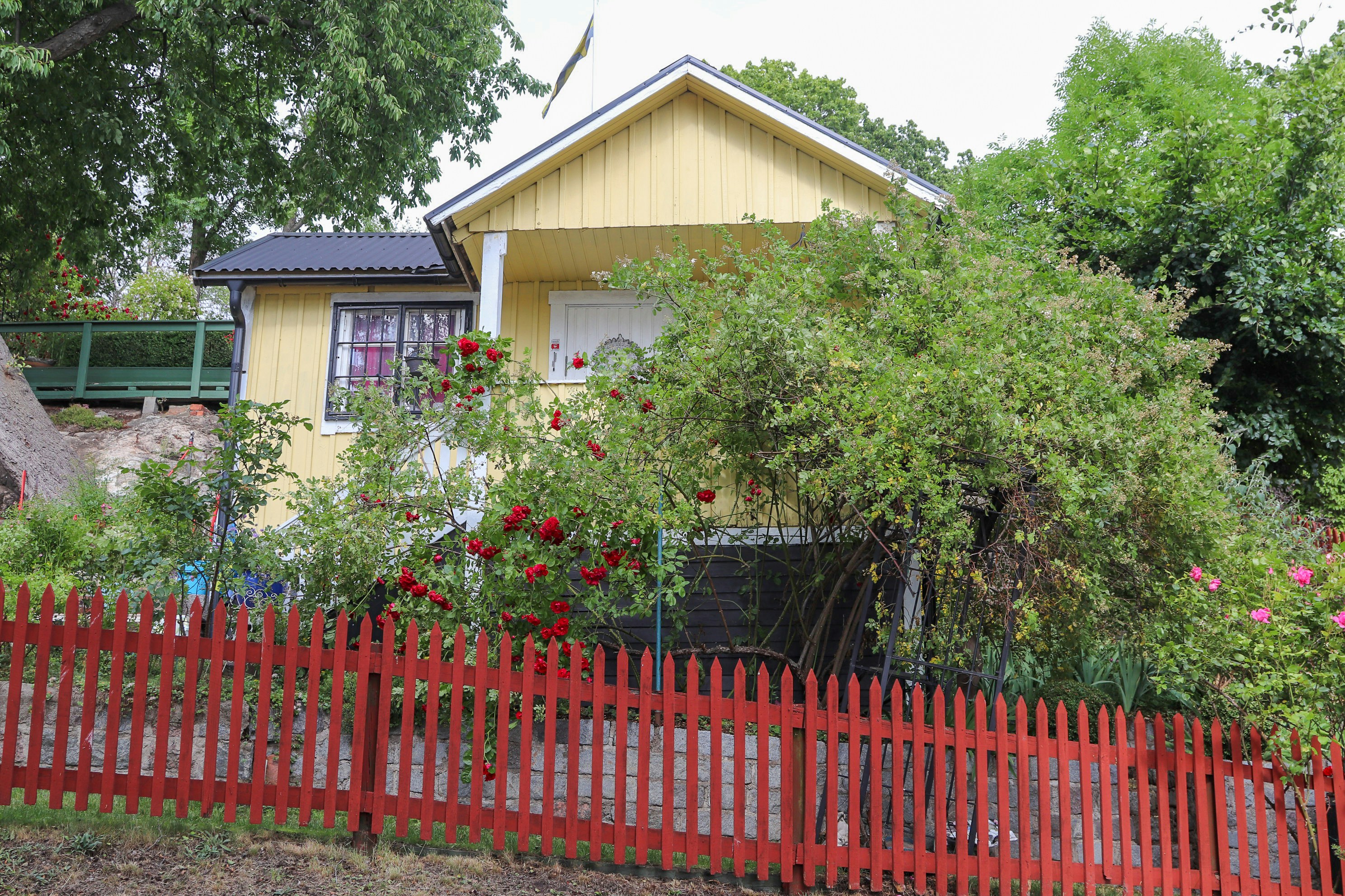 Photo by tanyabarrow