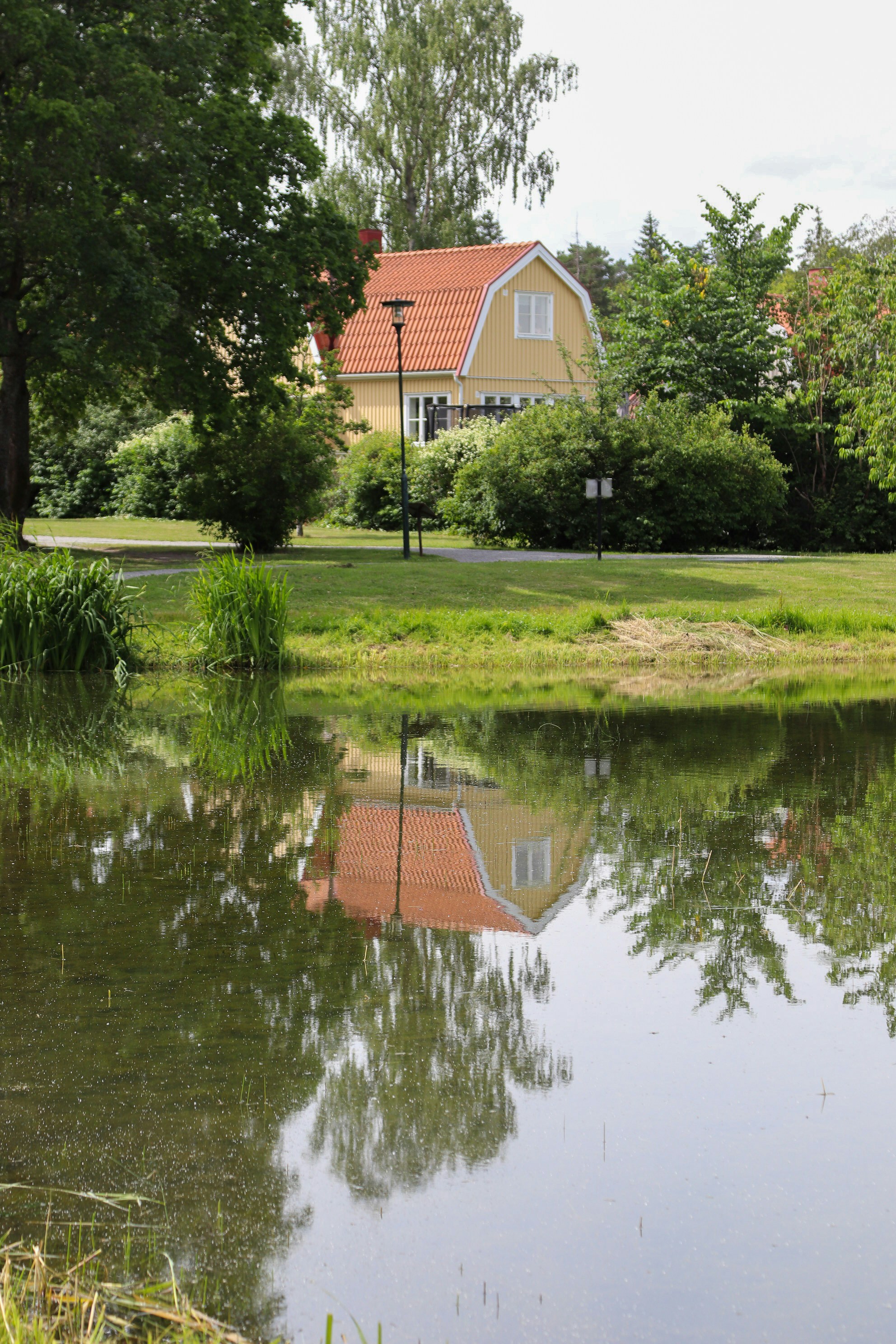 Photo by tanyabarrow