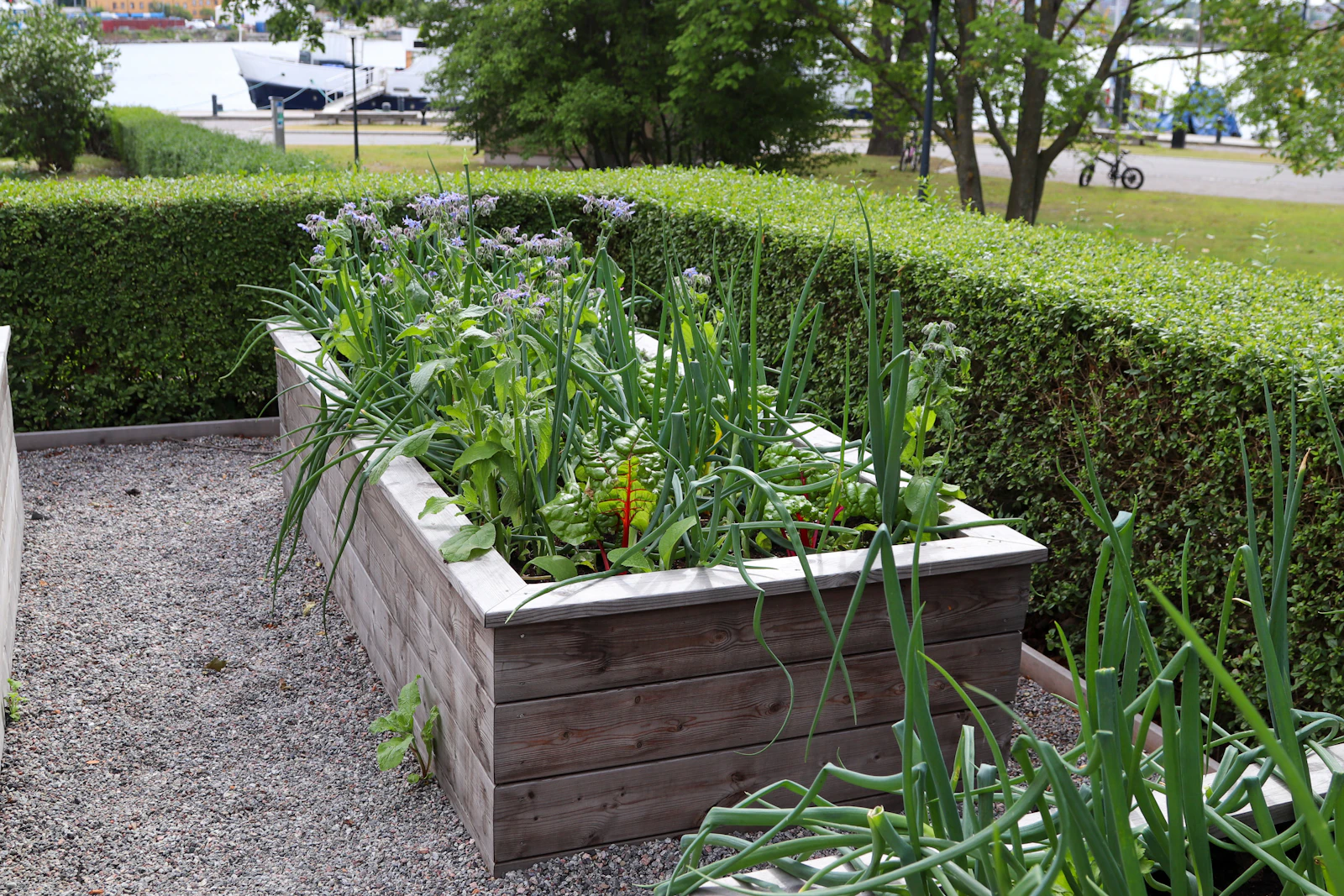 Een moestuinbak bouwen: maten, hout en de juiste grond