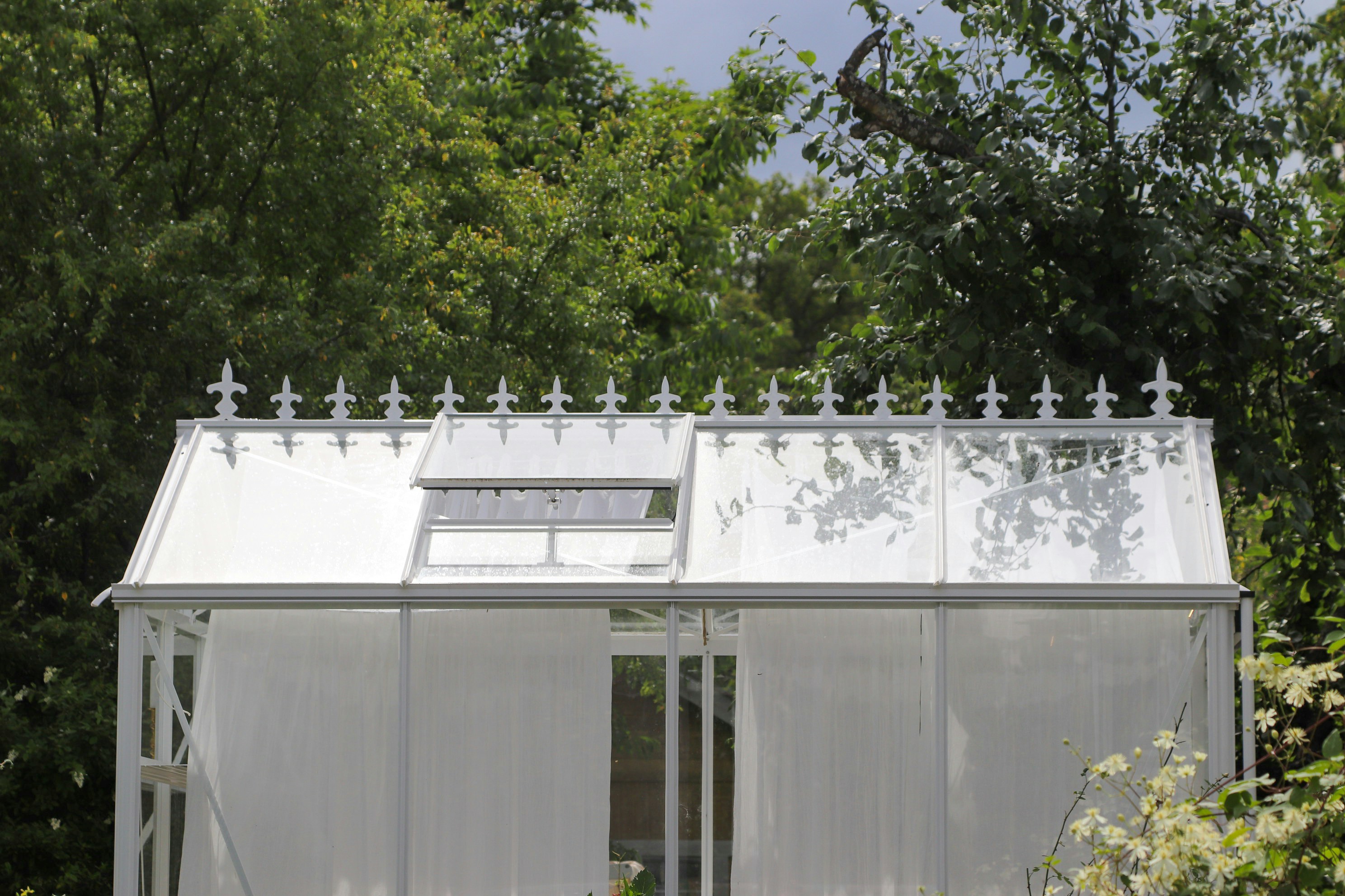 Photo by tanyabarrow