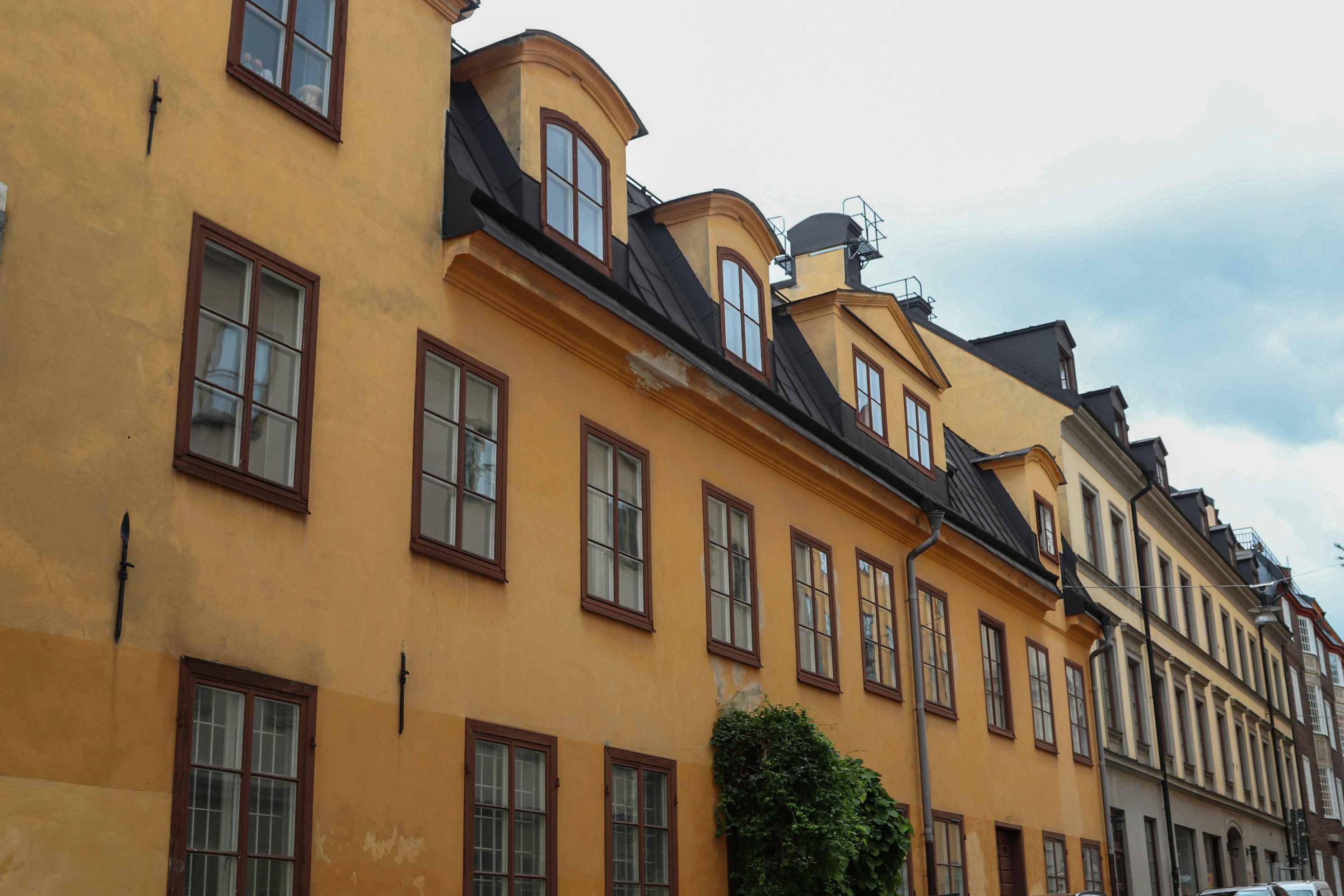 Photo by tanyabarrow