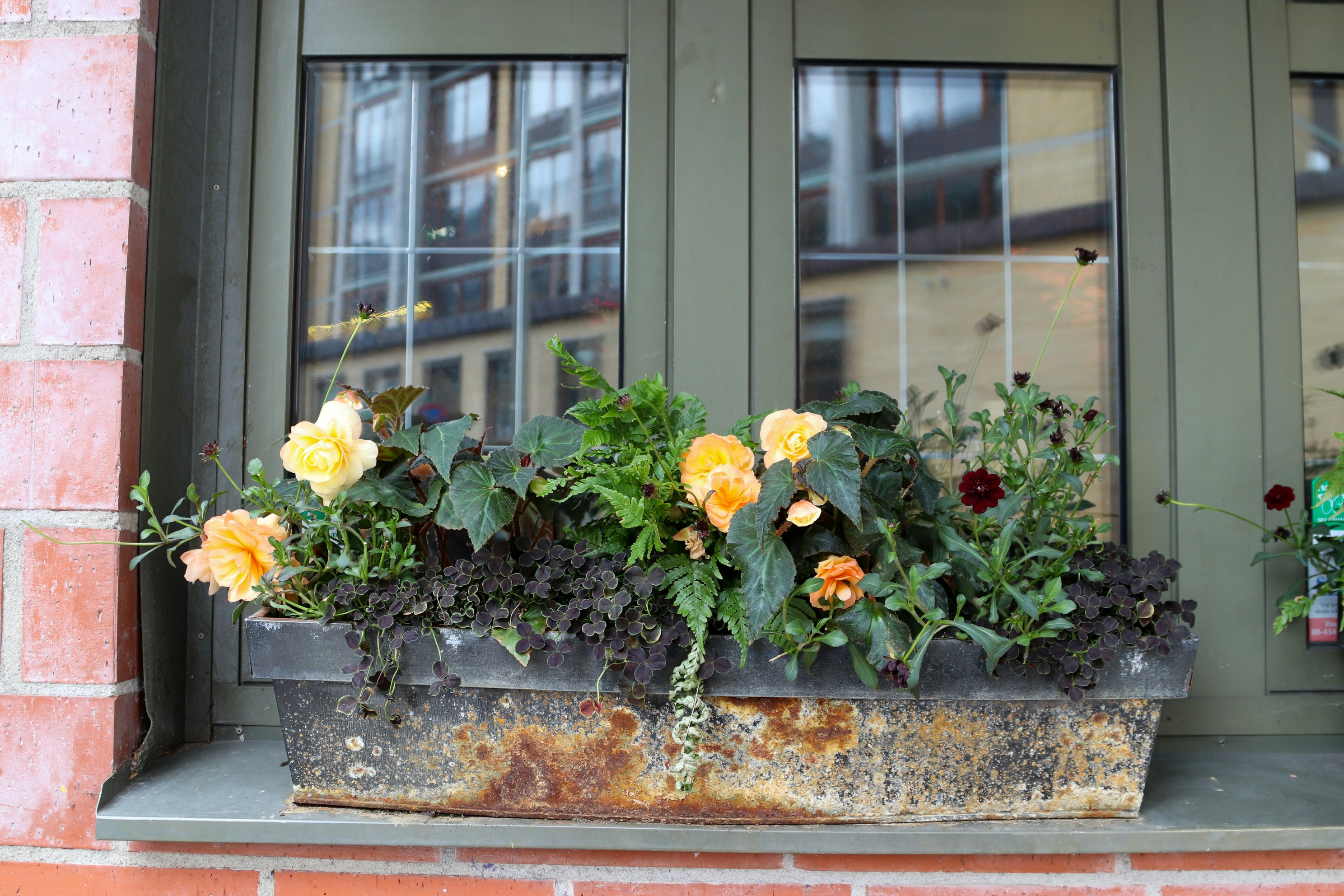 Photo by tanyabarrow