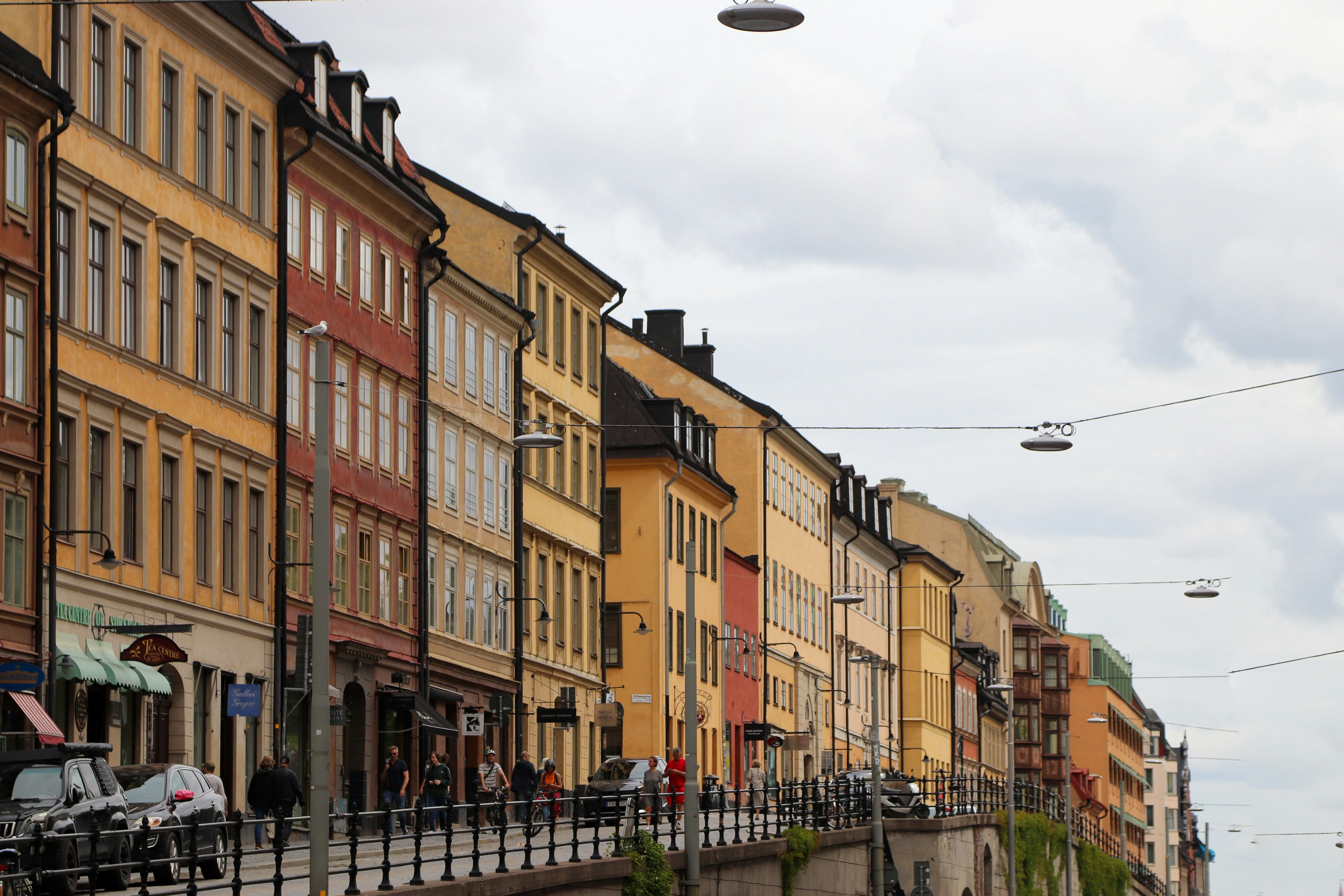 Photo by tanyabarrow