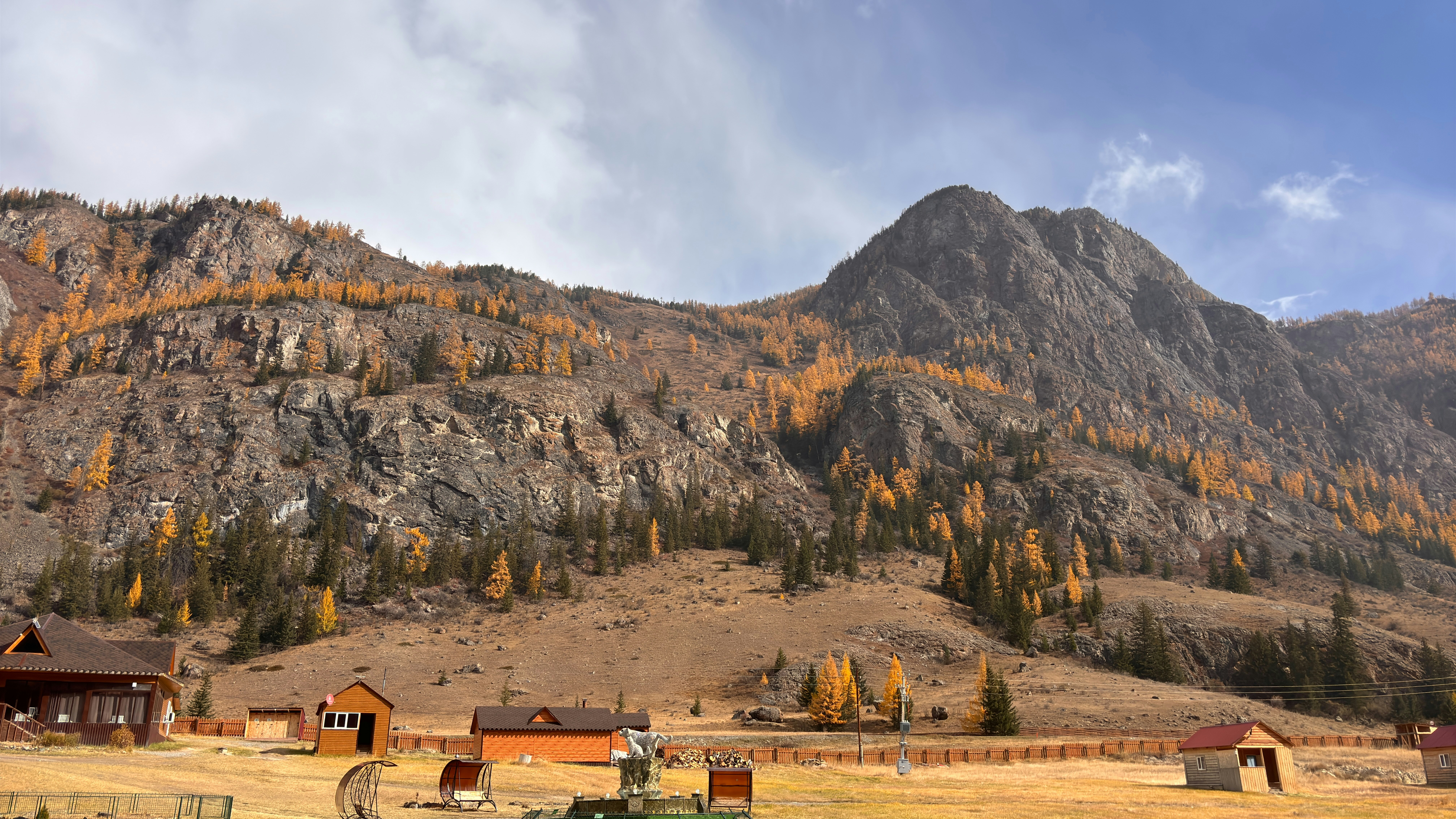 Harvest at the Base