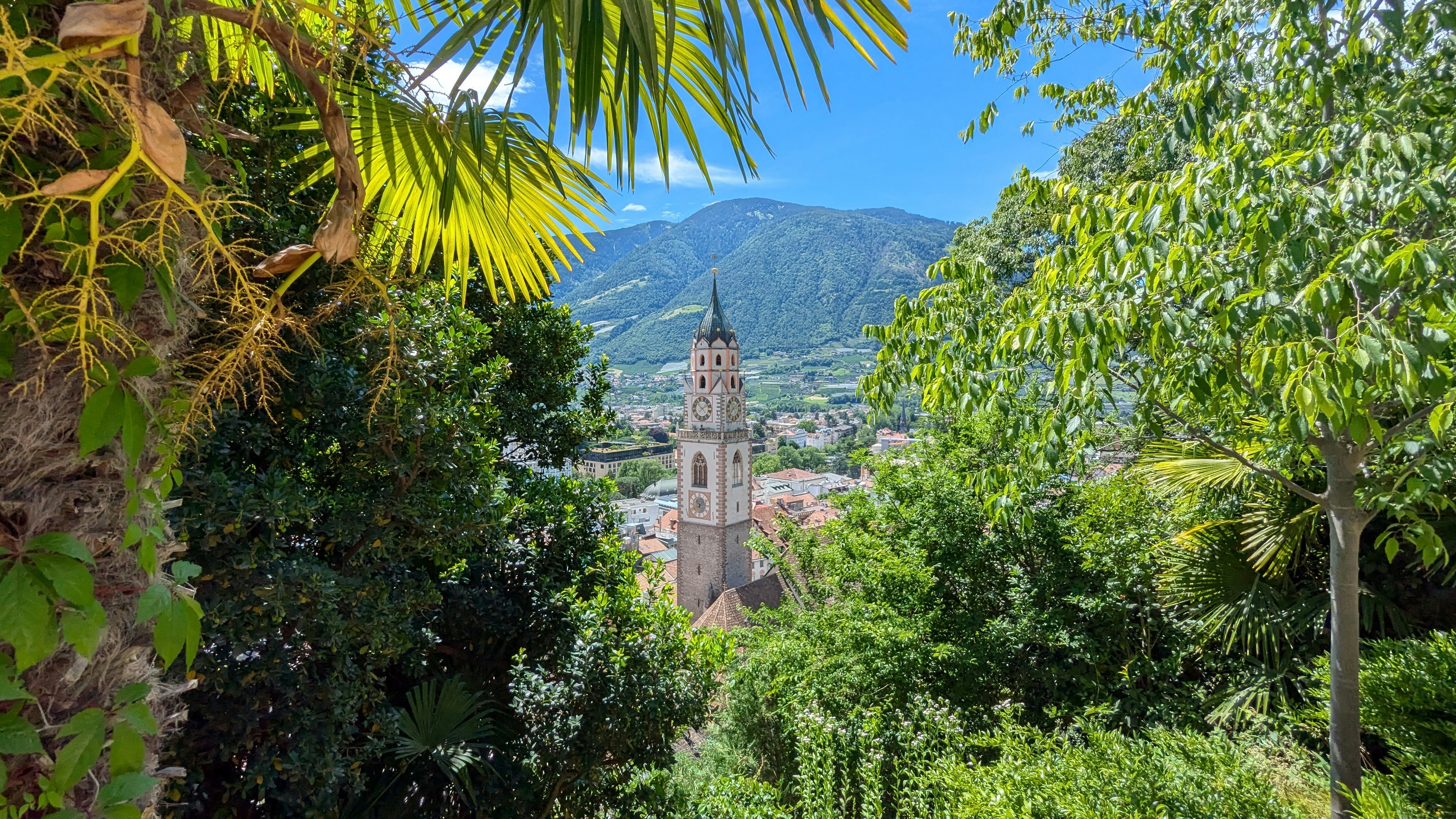 Photo by davidson0473