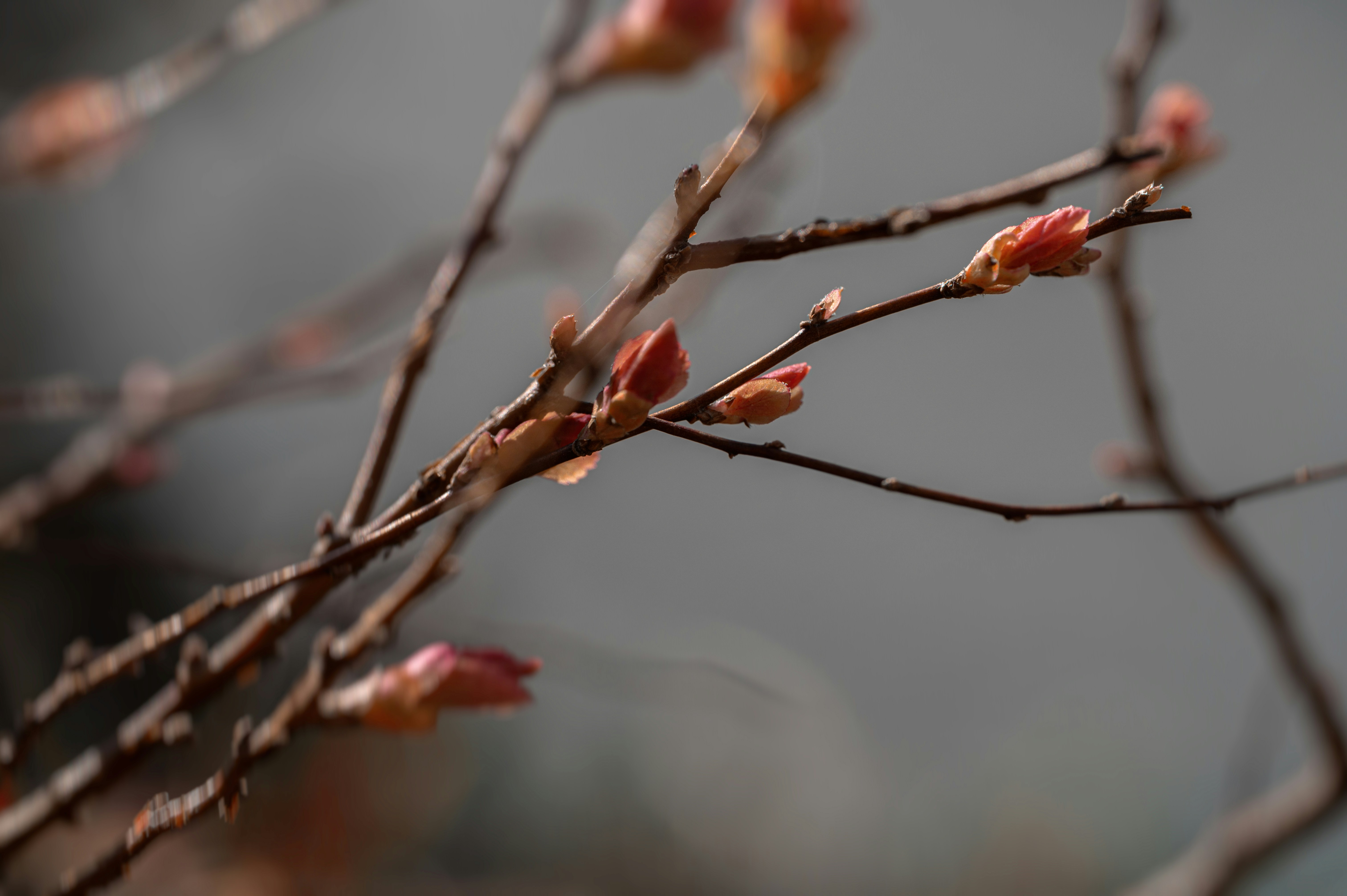 Photo by volodymyr_leush